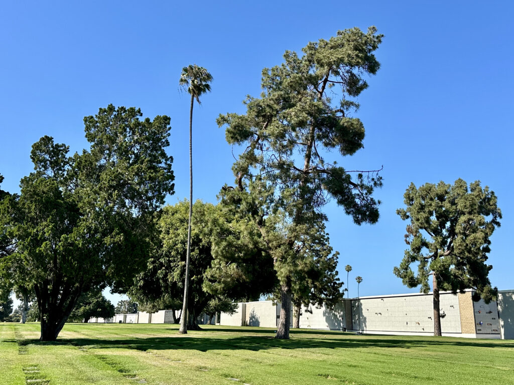 Pleasant View, Inglewood Park