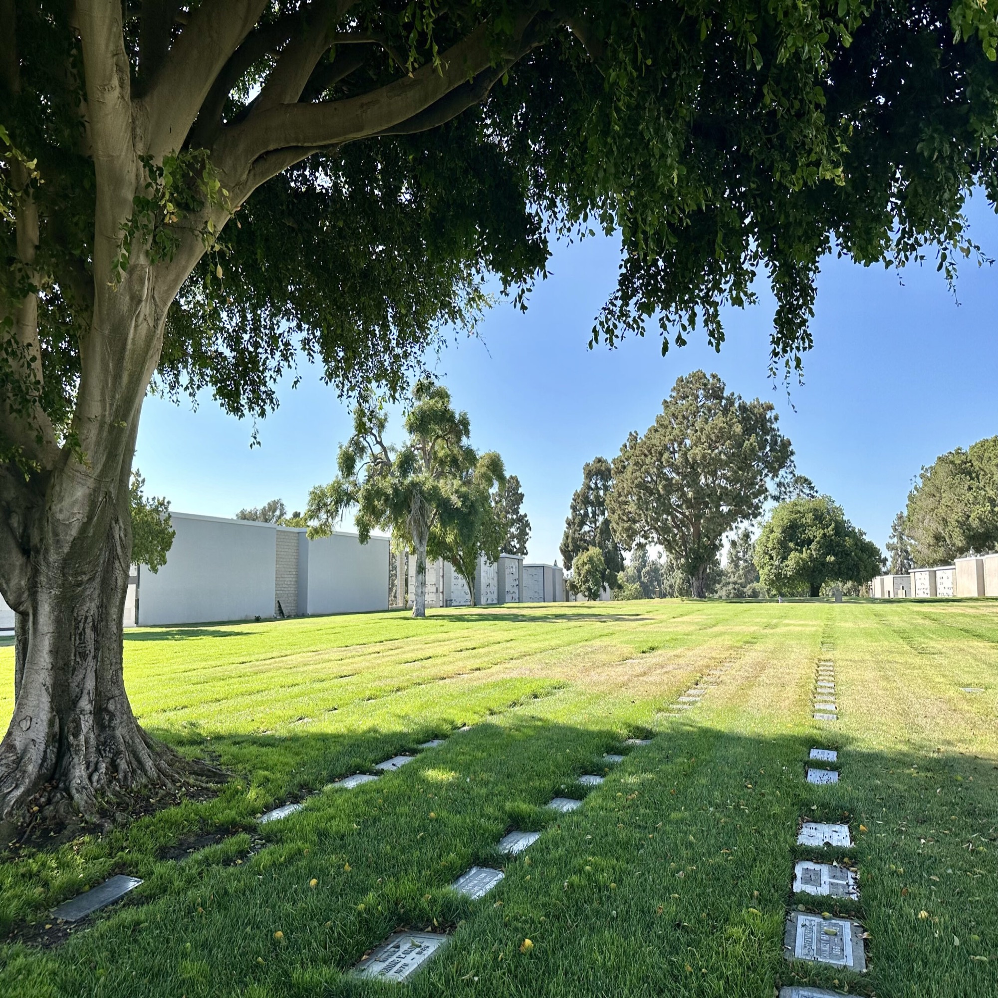 Urn space in Pleasant View