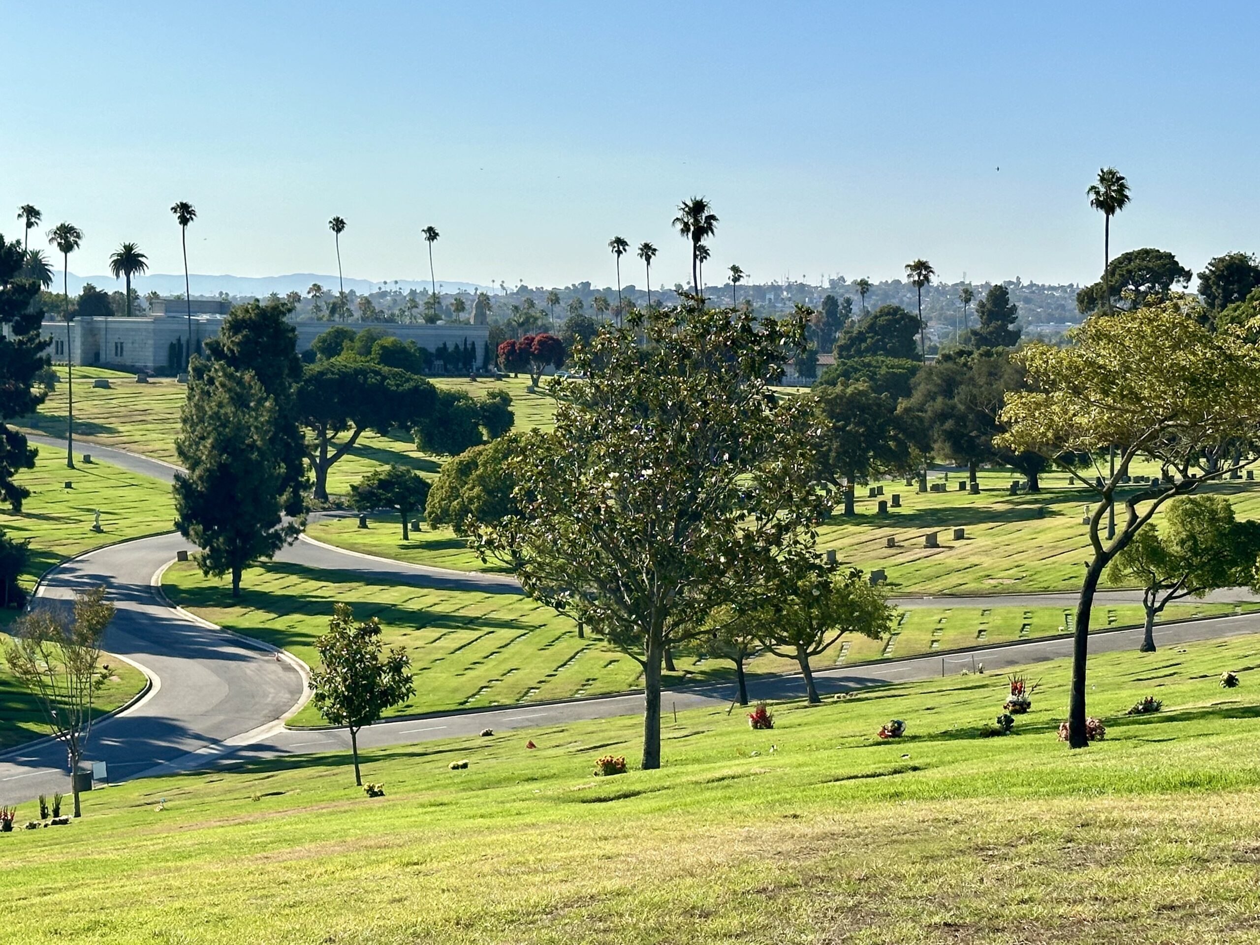 Inglewood Park from Sunset View, Woodland