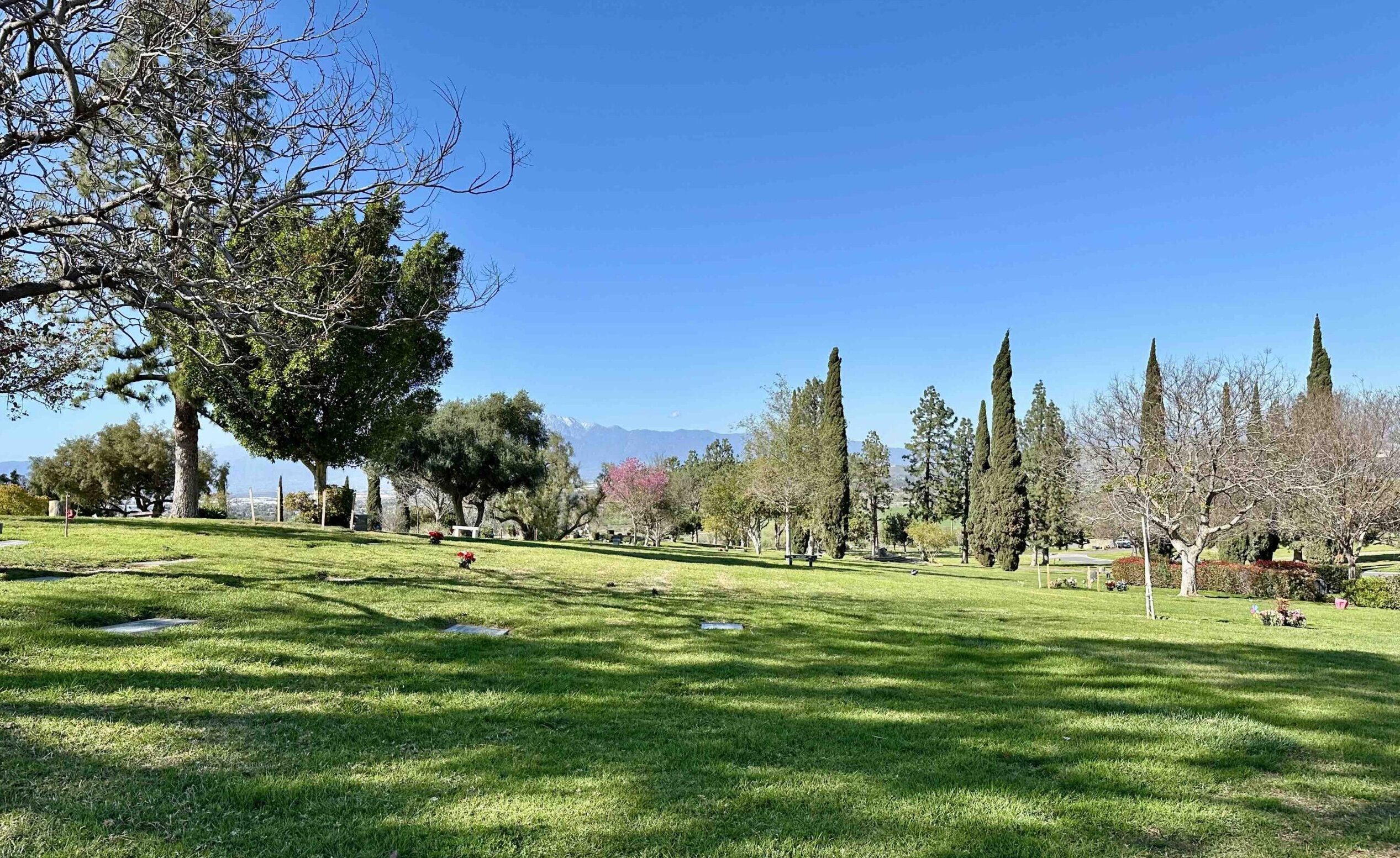 Bayer Cemetery Brokers Crestlawn Riverside Cemetery Panorama