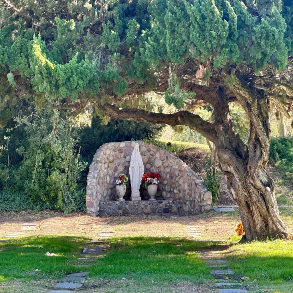 Bayer Cemetery Brokers El Camino Memorial Park Cemetery Madonna Lawn