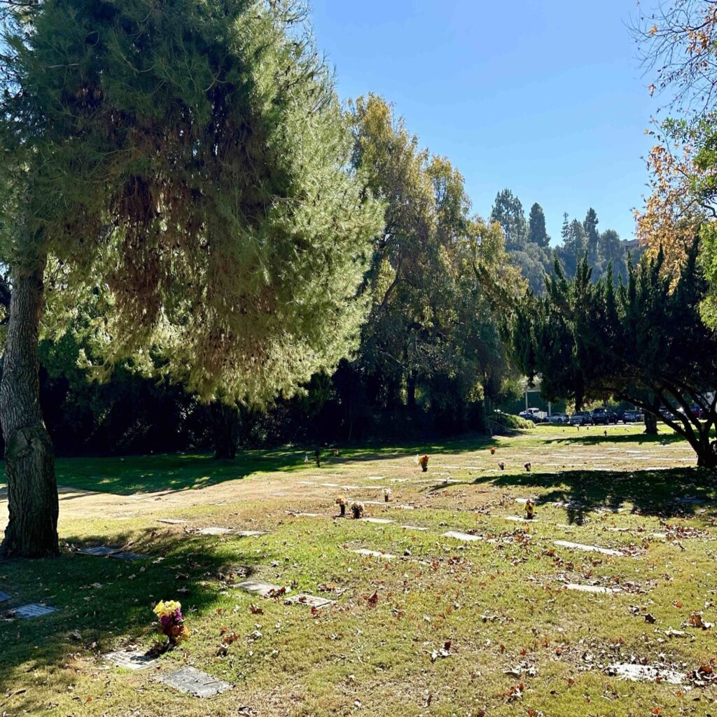 Bayer Cemetery Brokers El Camino Memorial Park Cemetery Madonna Lawn