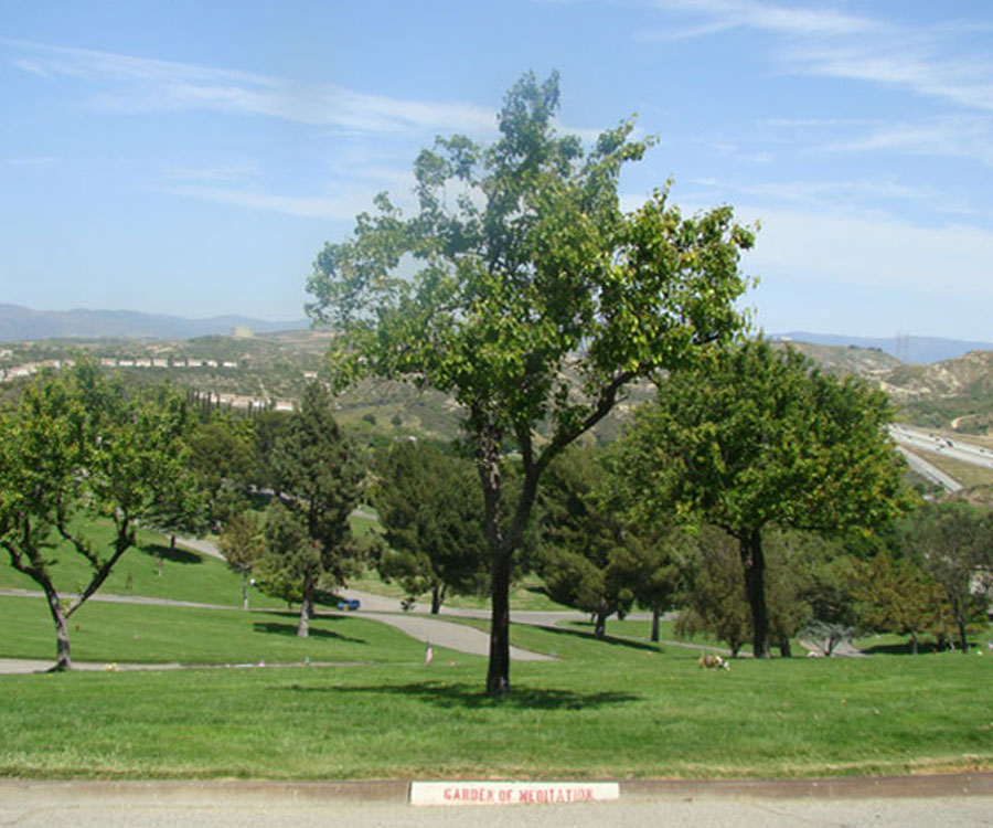 Pair of grave spaces in Meditation