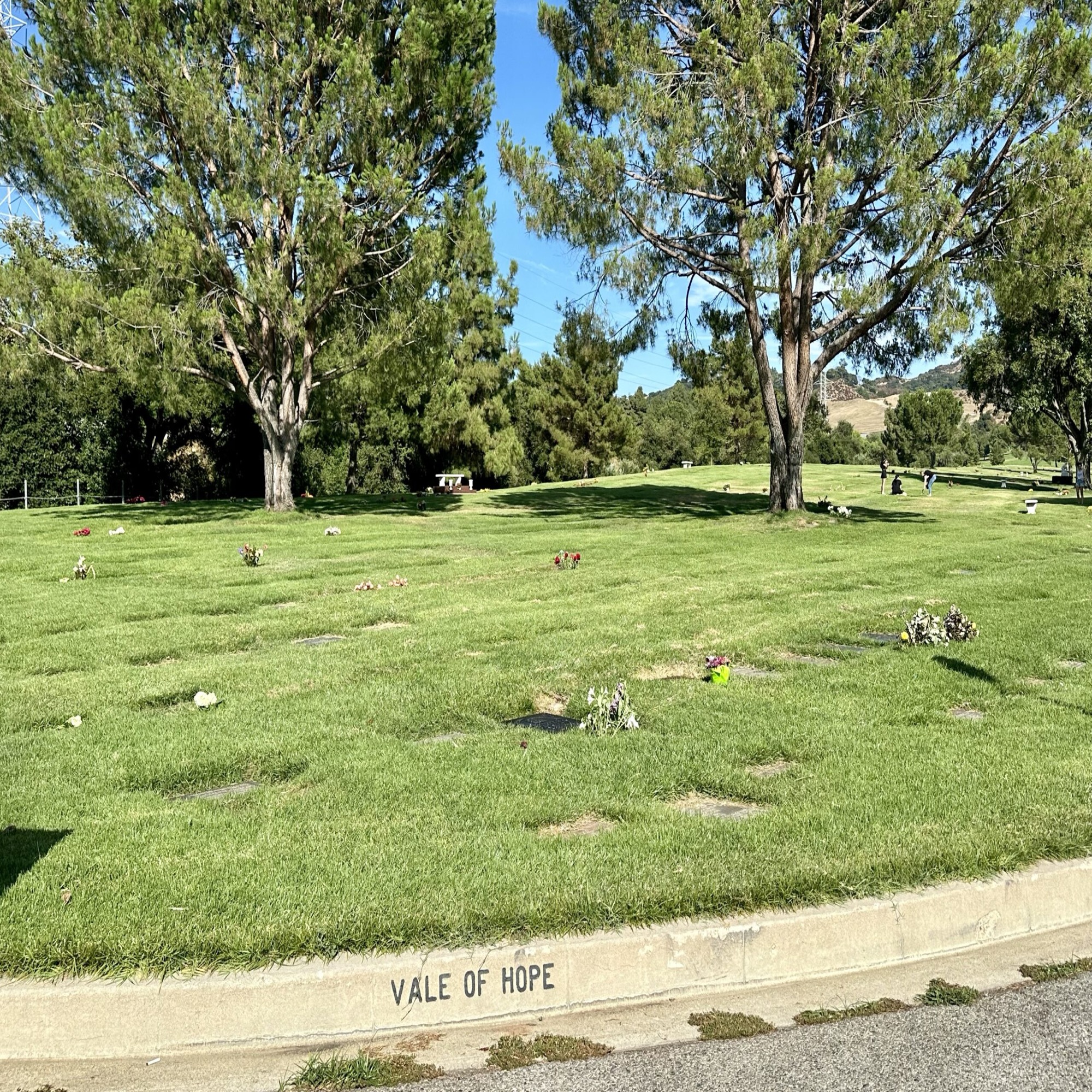 Grave space in Vale of Hope