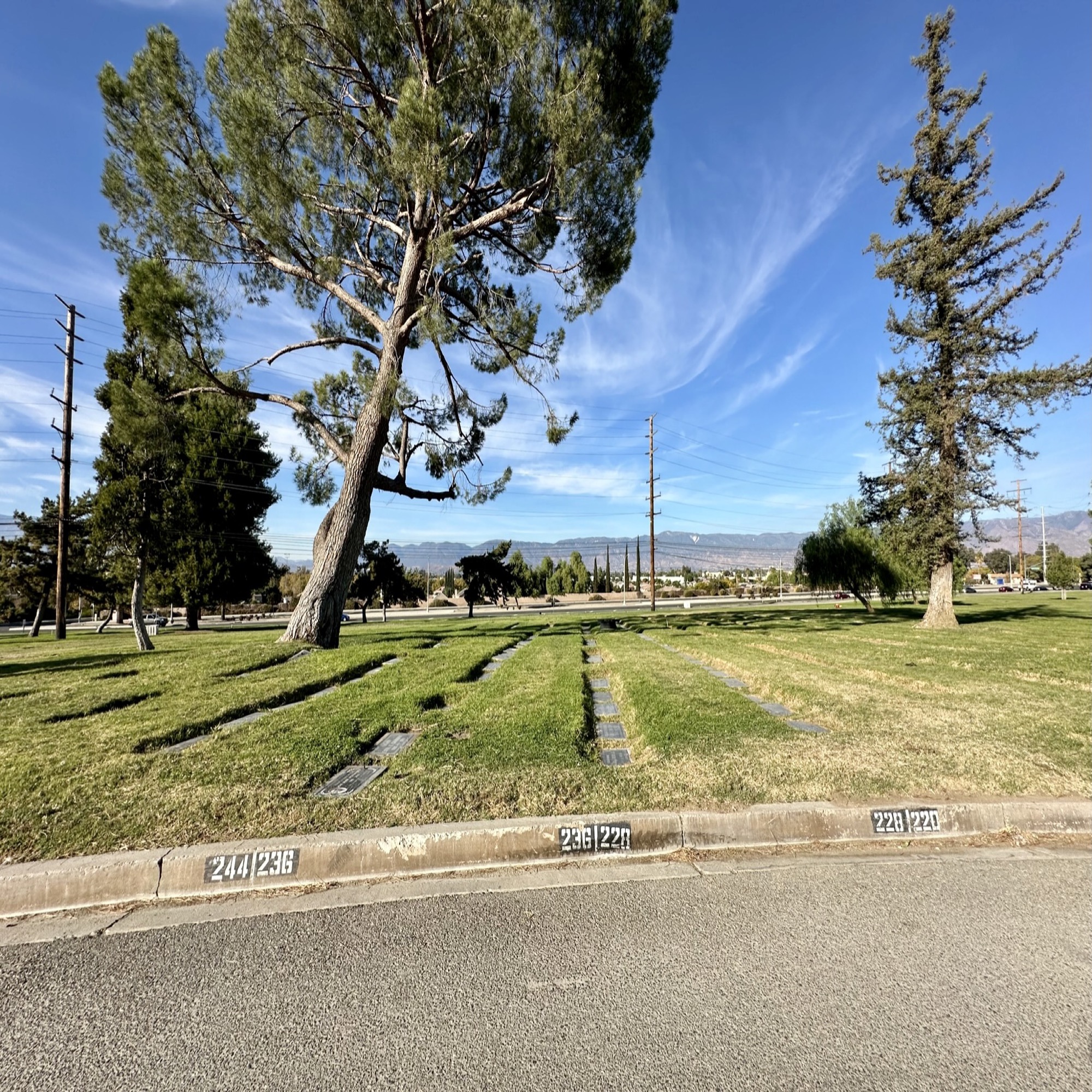 Grave space in Iris Lawn