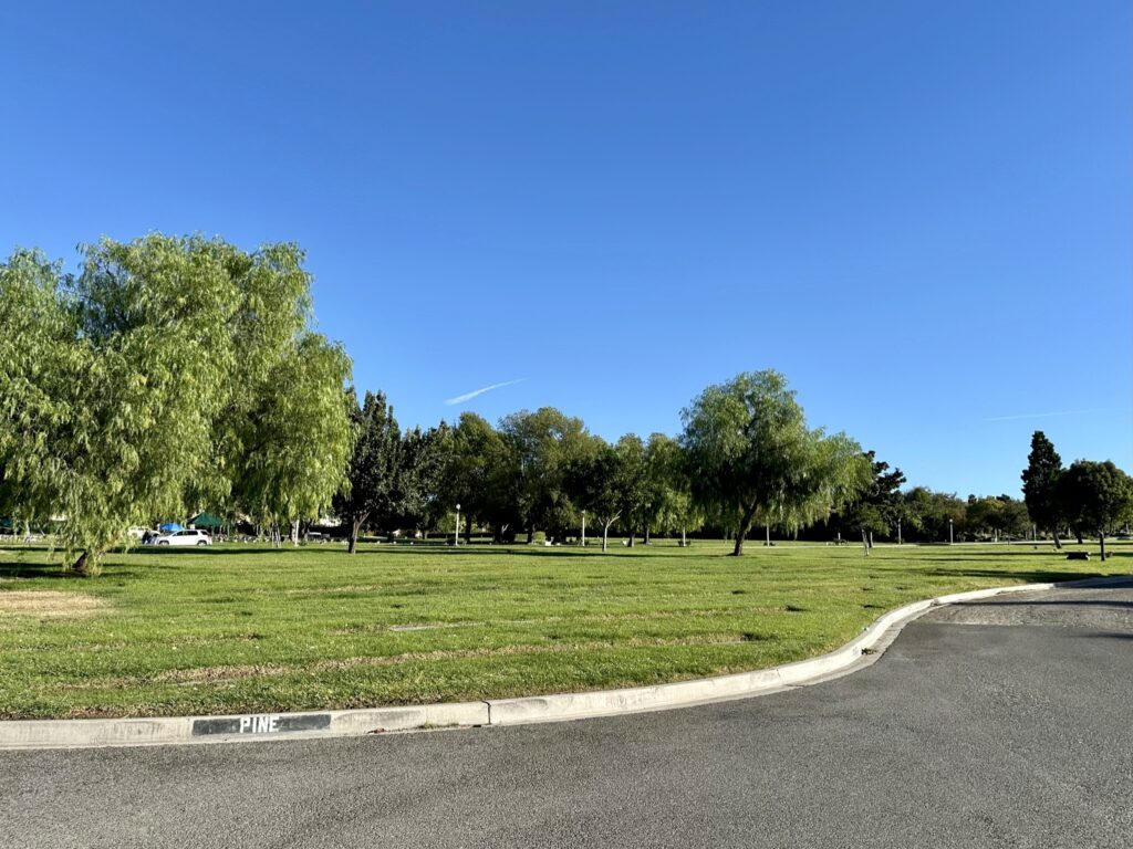 Pine, Montecito Memorial Park