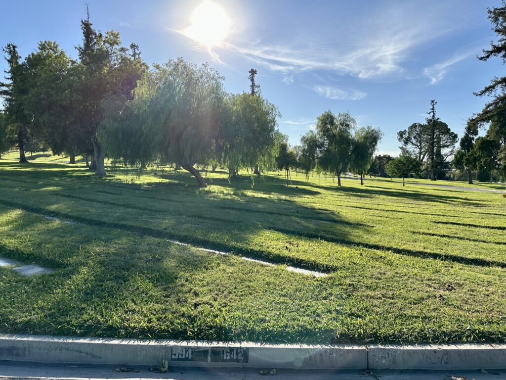 Pine, Montecito Memorial Park