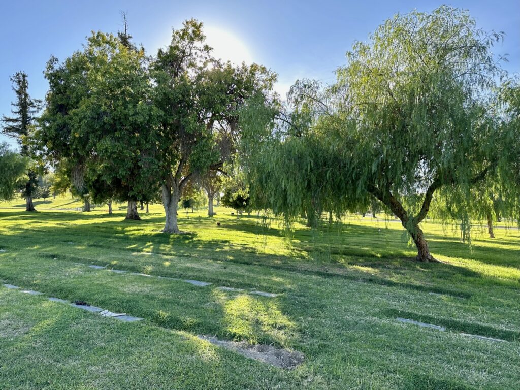 Pine, Montecito Memorial Park