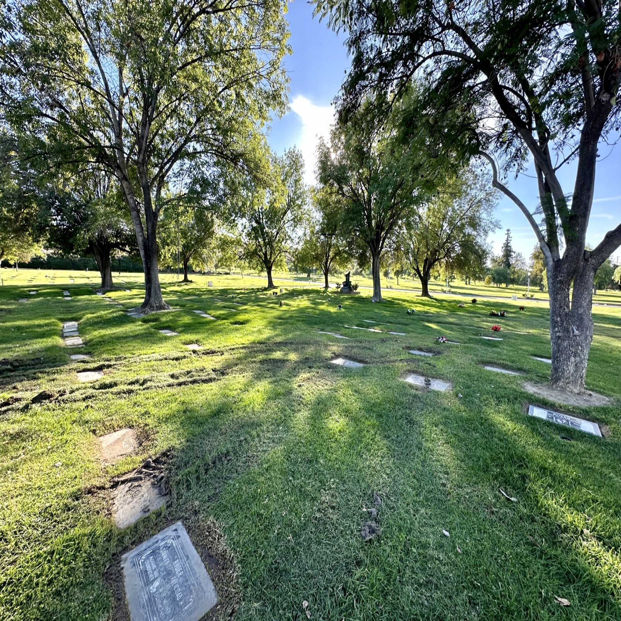 Bench space for 4 urns in Garden of Devotion