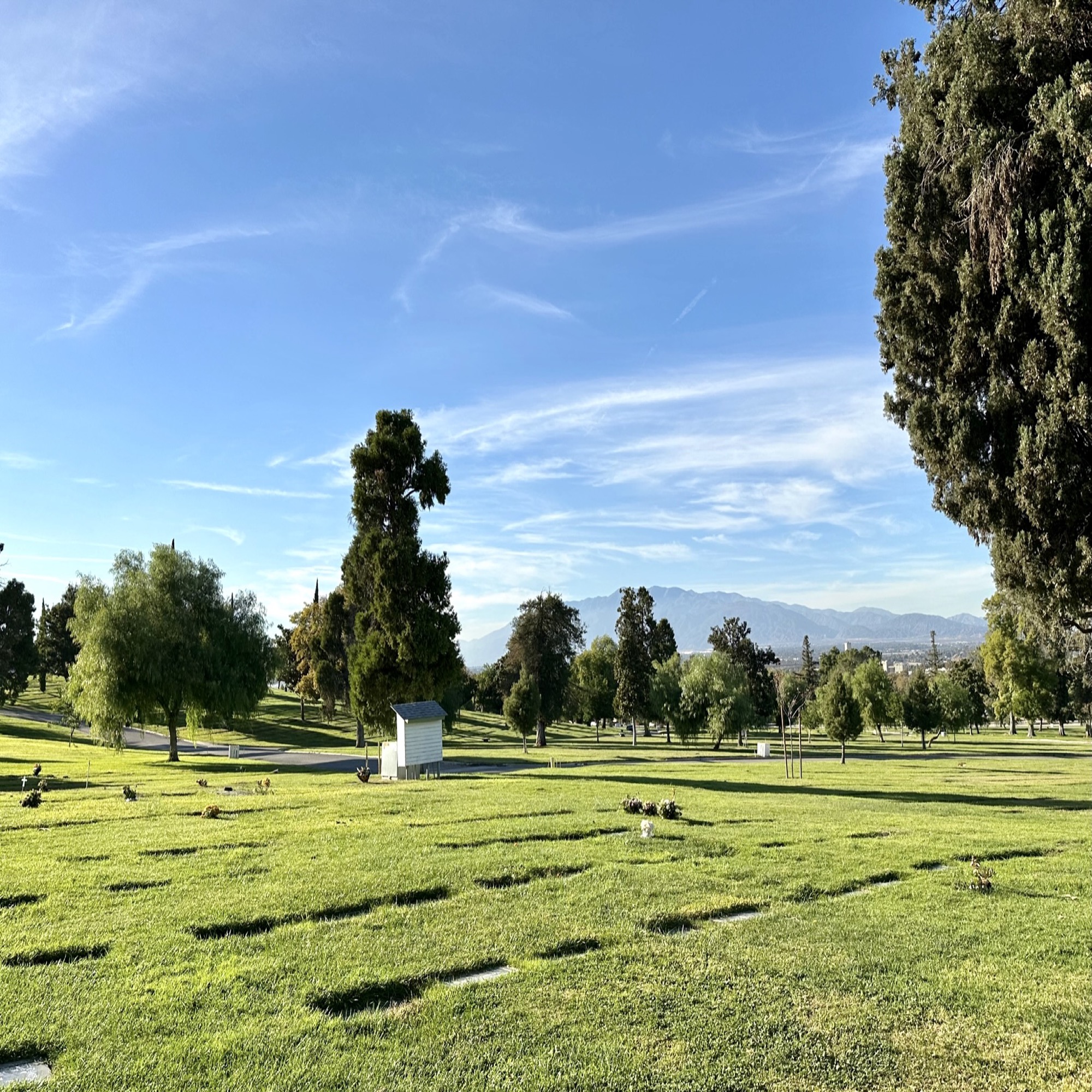 Grave space in Pine