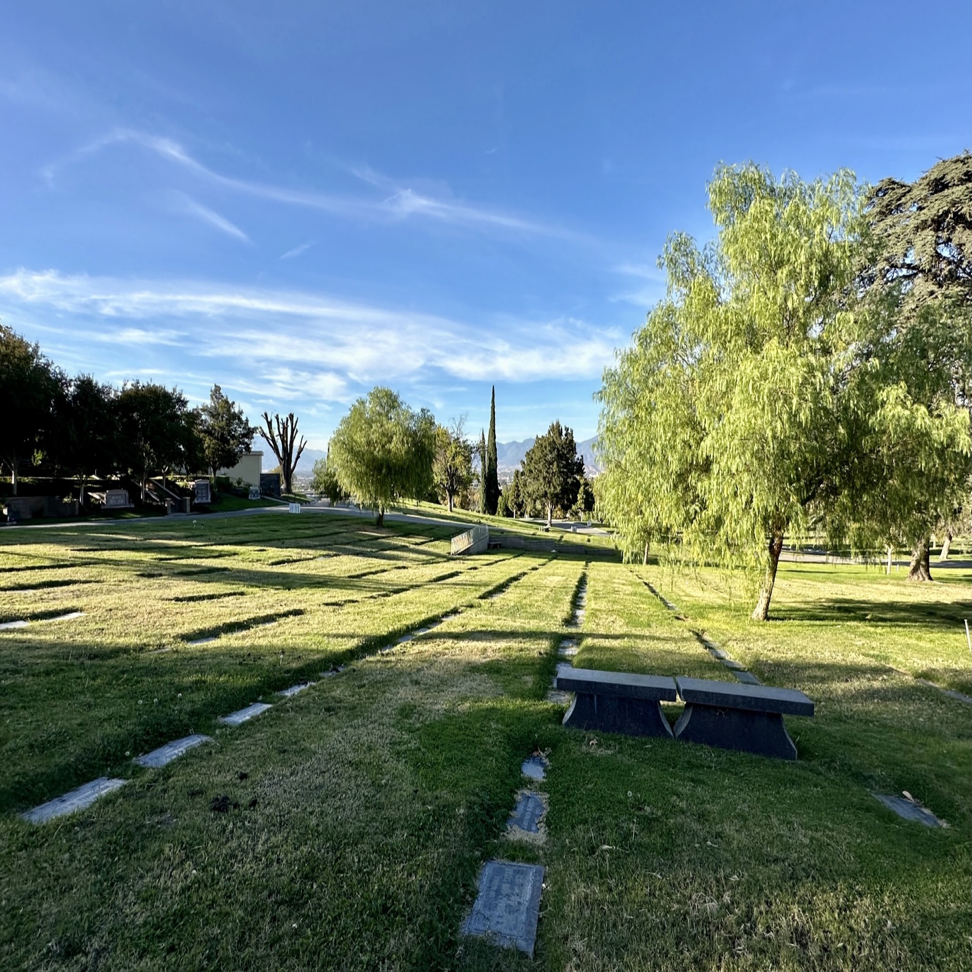 Grave in Grandview