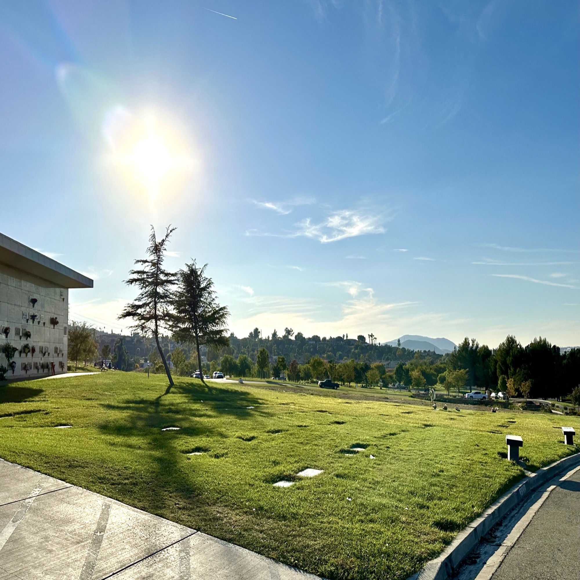 Three grave spaces in Westview