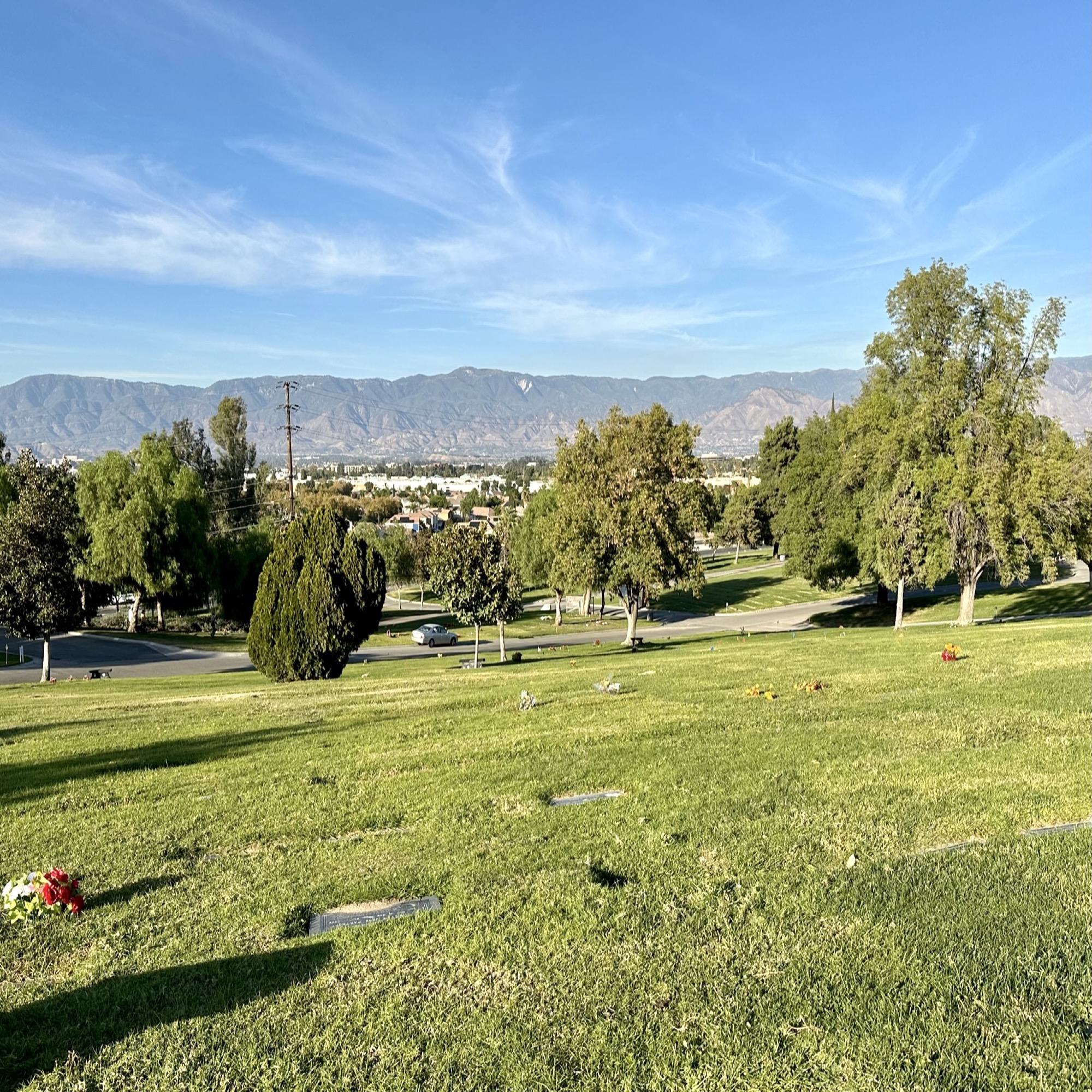 Grave space in Cypress