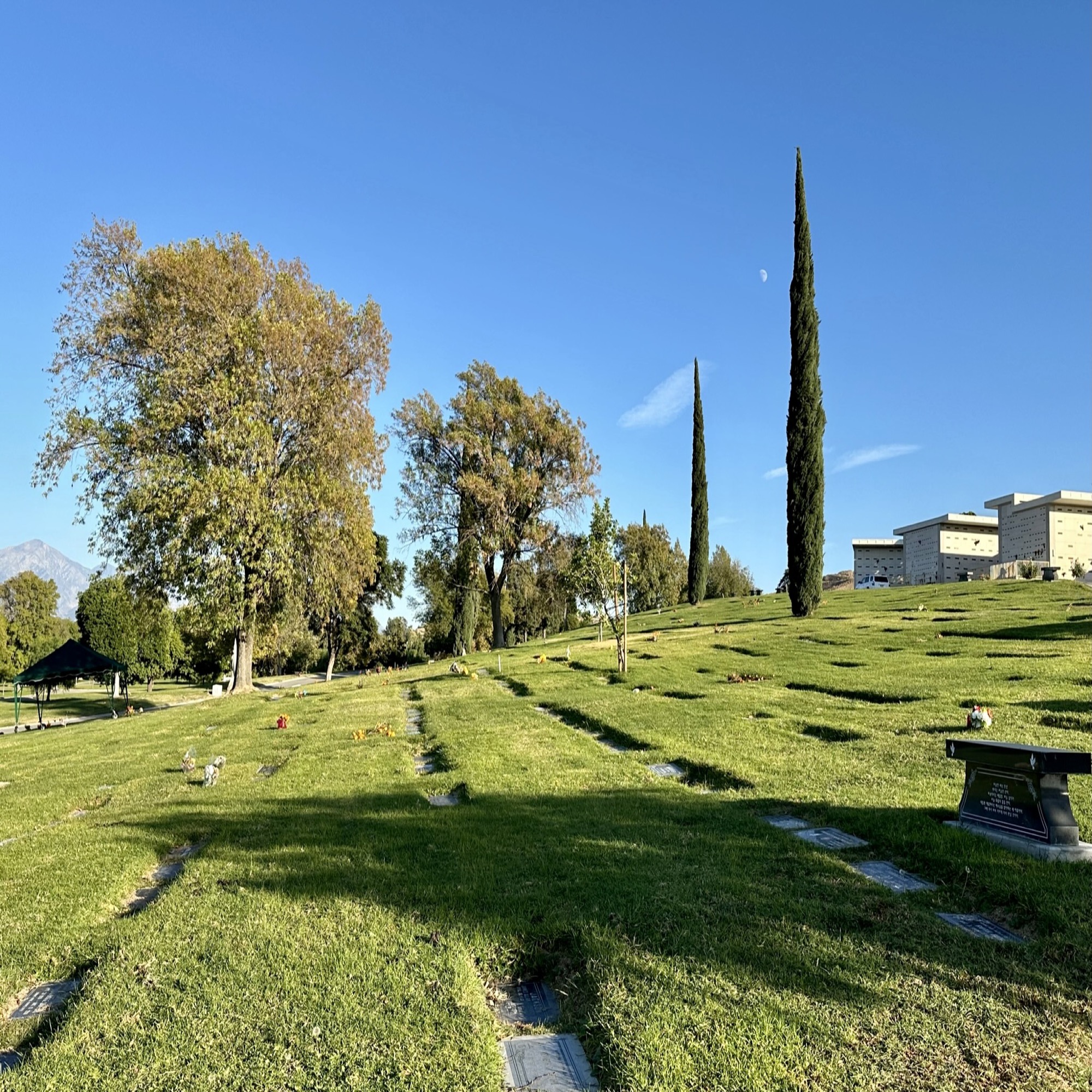 Grave space in Cypress