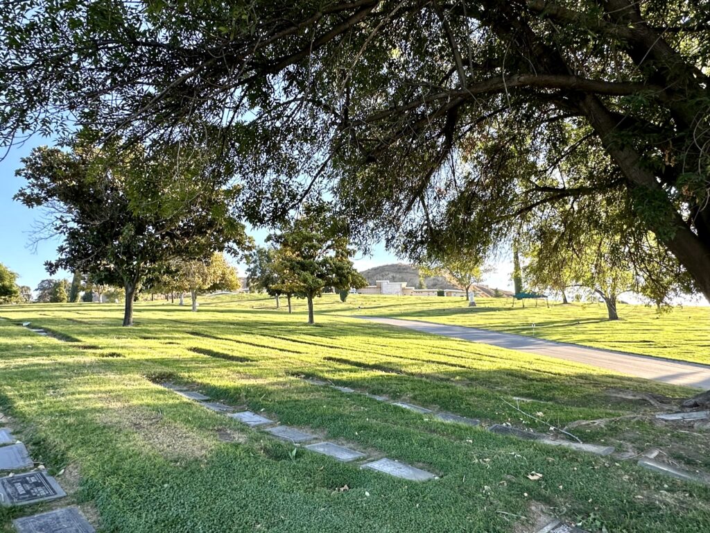 Magnolia, Montecito Memorial Park