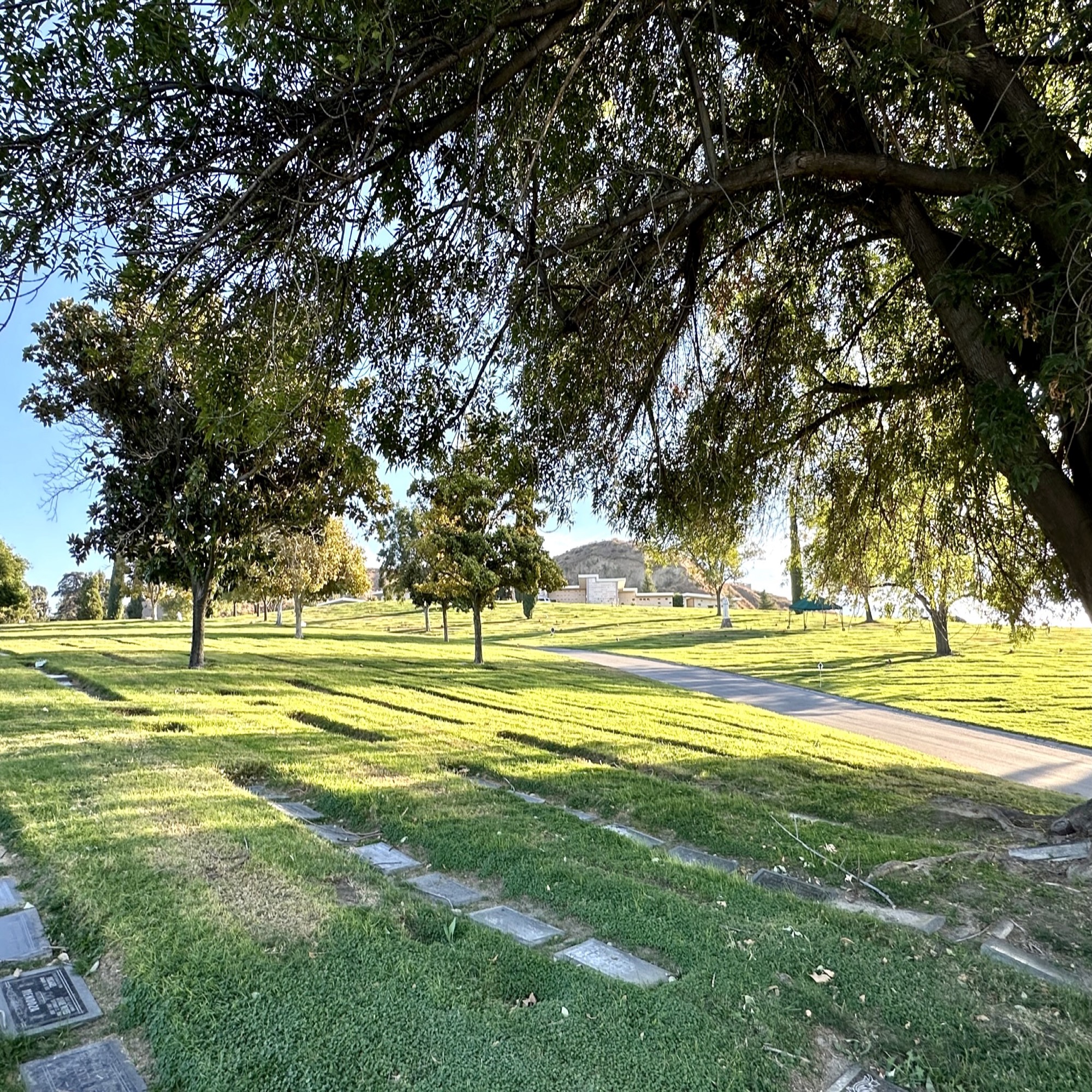 Grave space in Magnolia Lawn