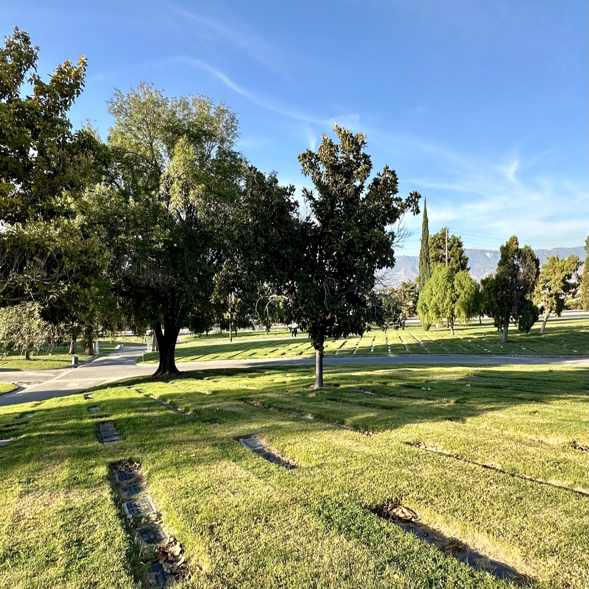 Grave space in Magnolia Lawn