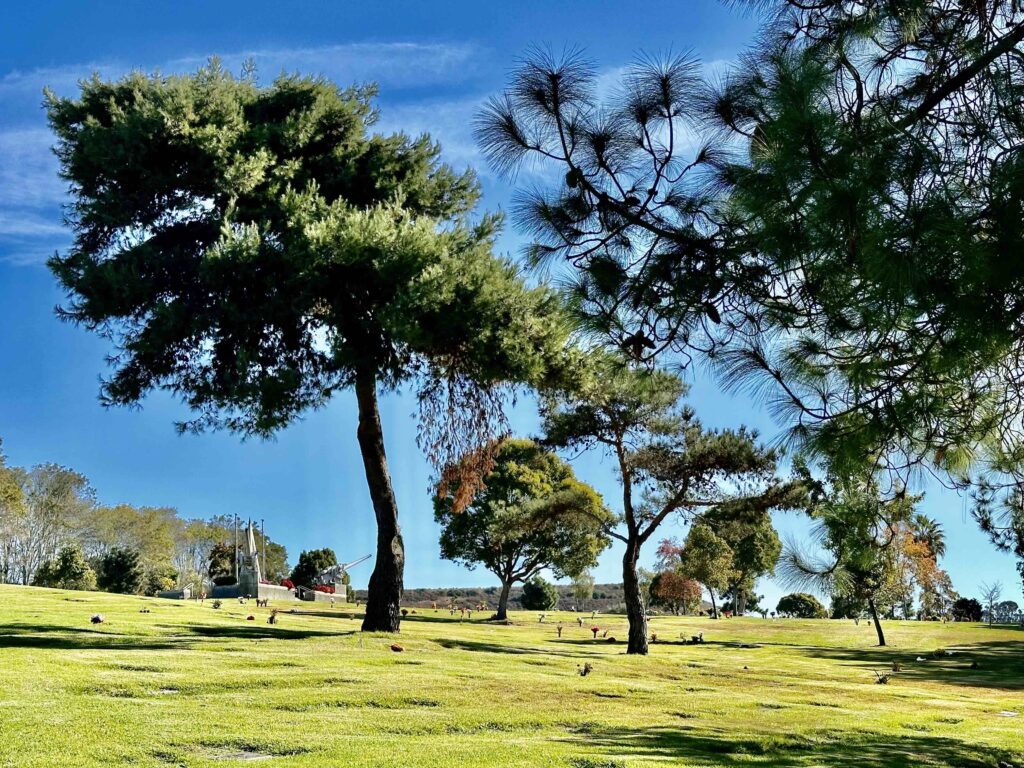 Labor Rest 2, El Camino Memorial Park