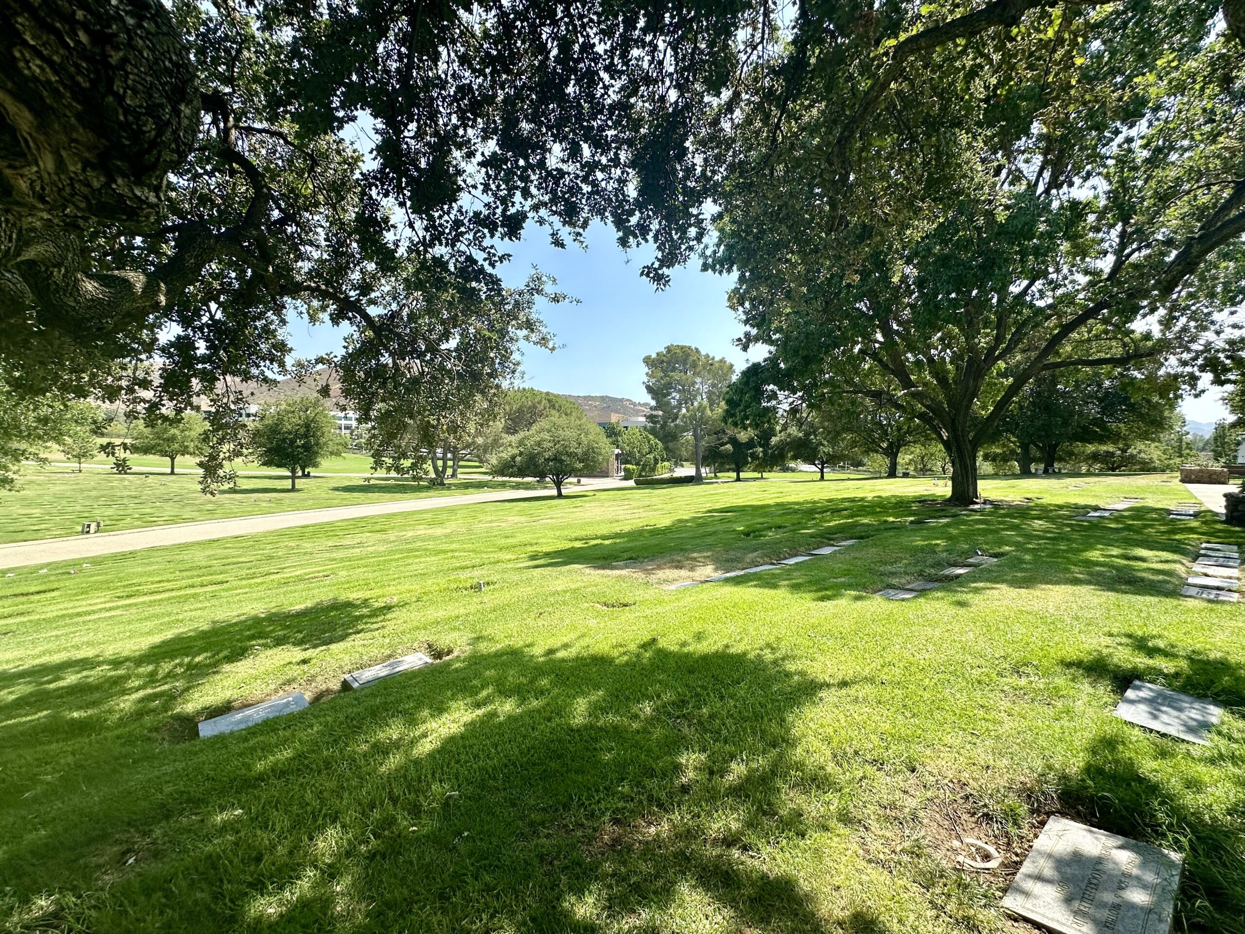 Eight grave spaces in Garden of Gethsemane