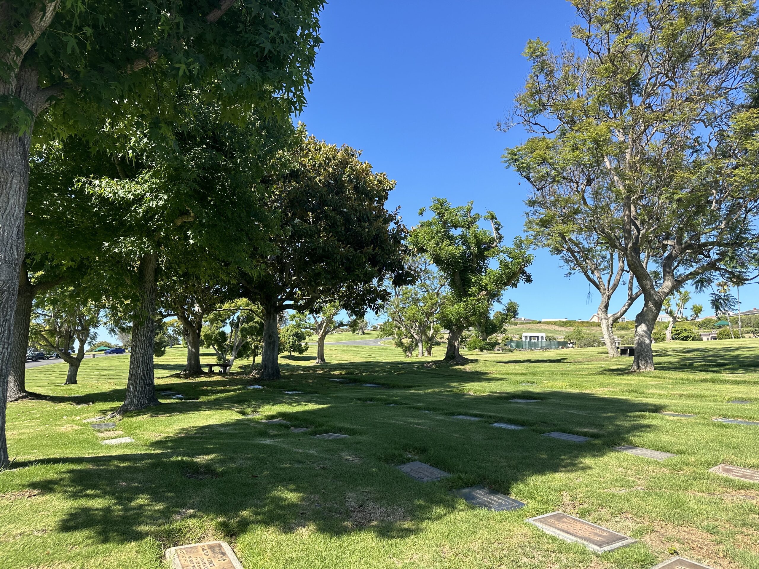 Grave space in Vista del Mar