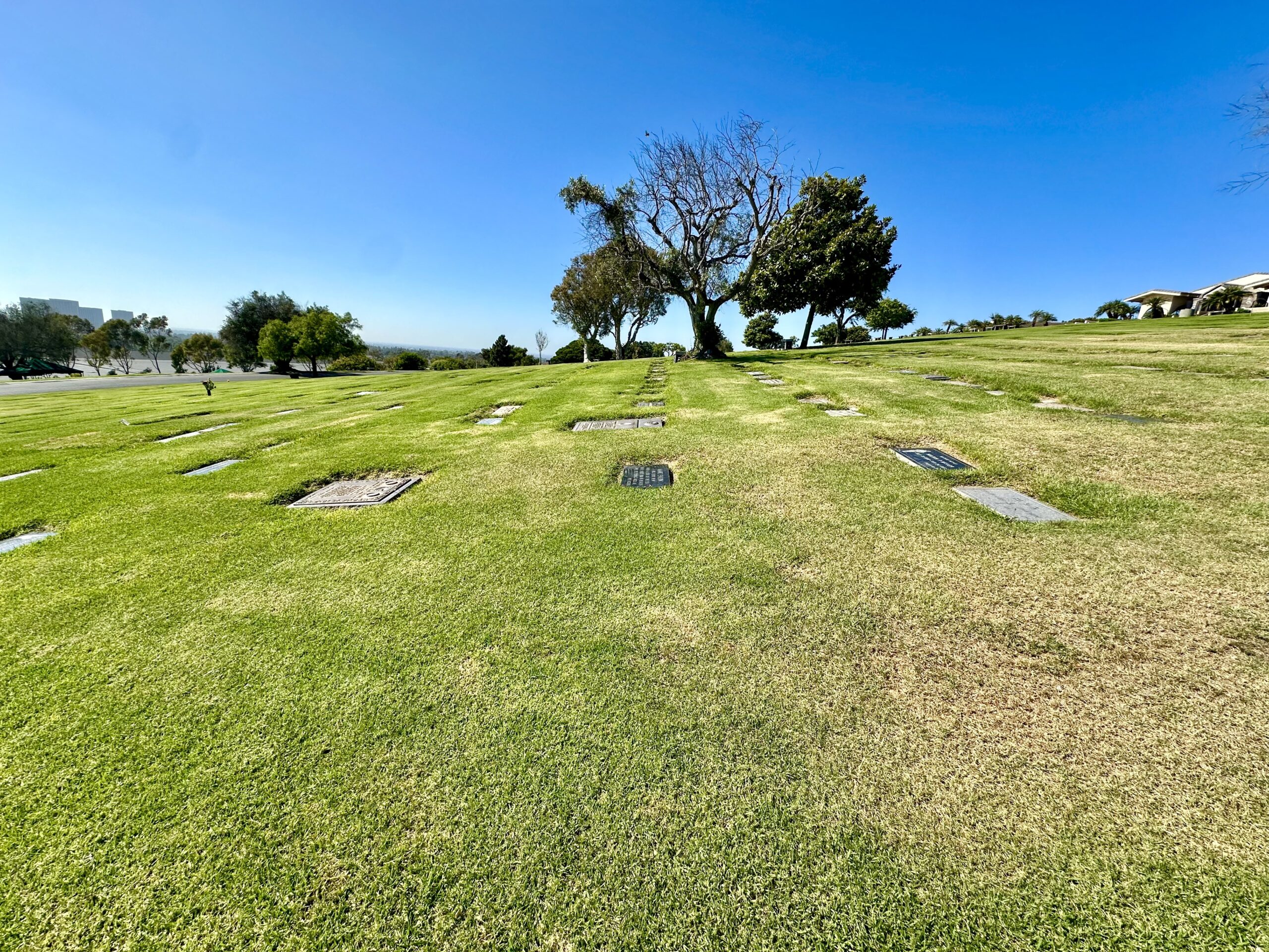 Grave space in Bayview Terrace