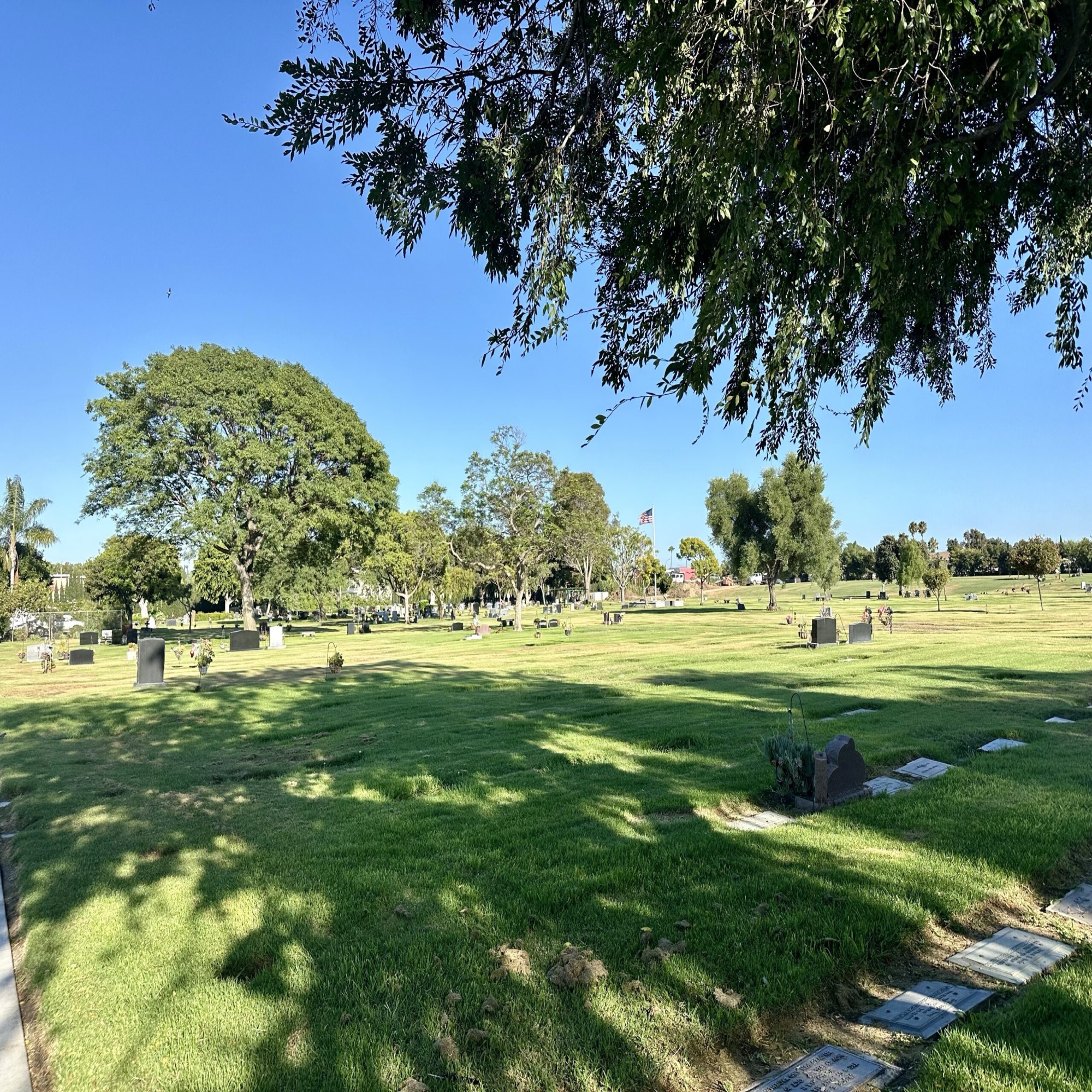 Harbor Mt Olive Memorial Park