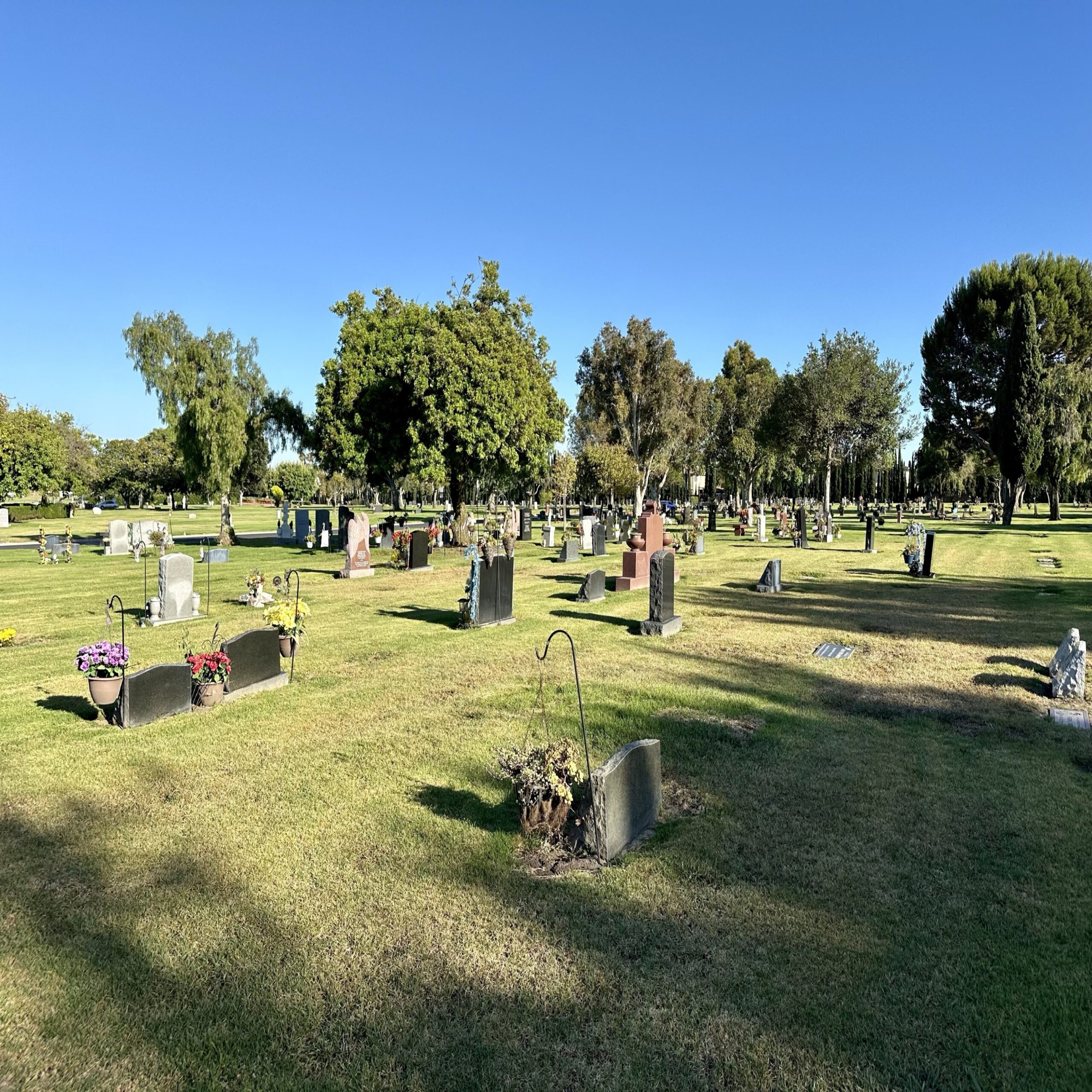 Grave space in Sunset Lawn Garden