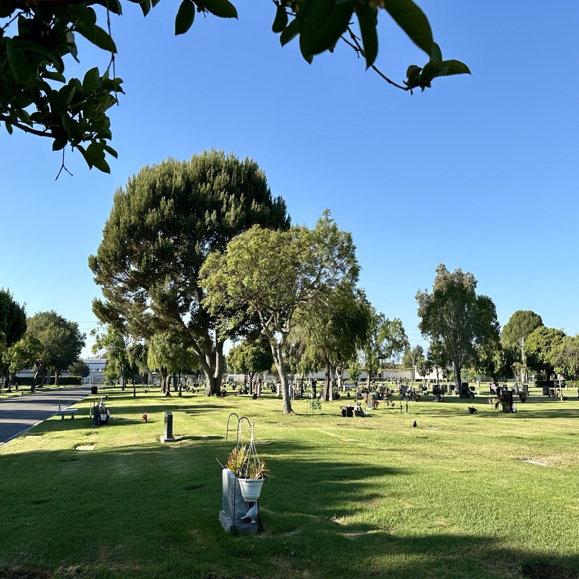 Grave space in Sunset Lawn Garden