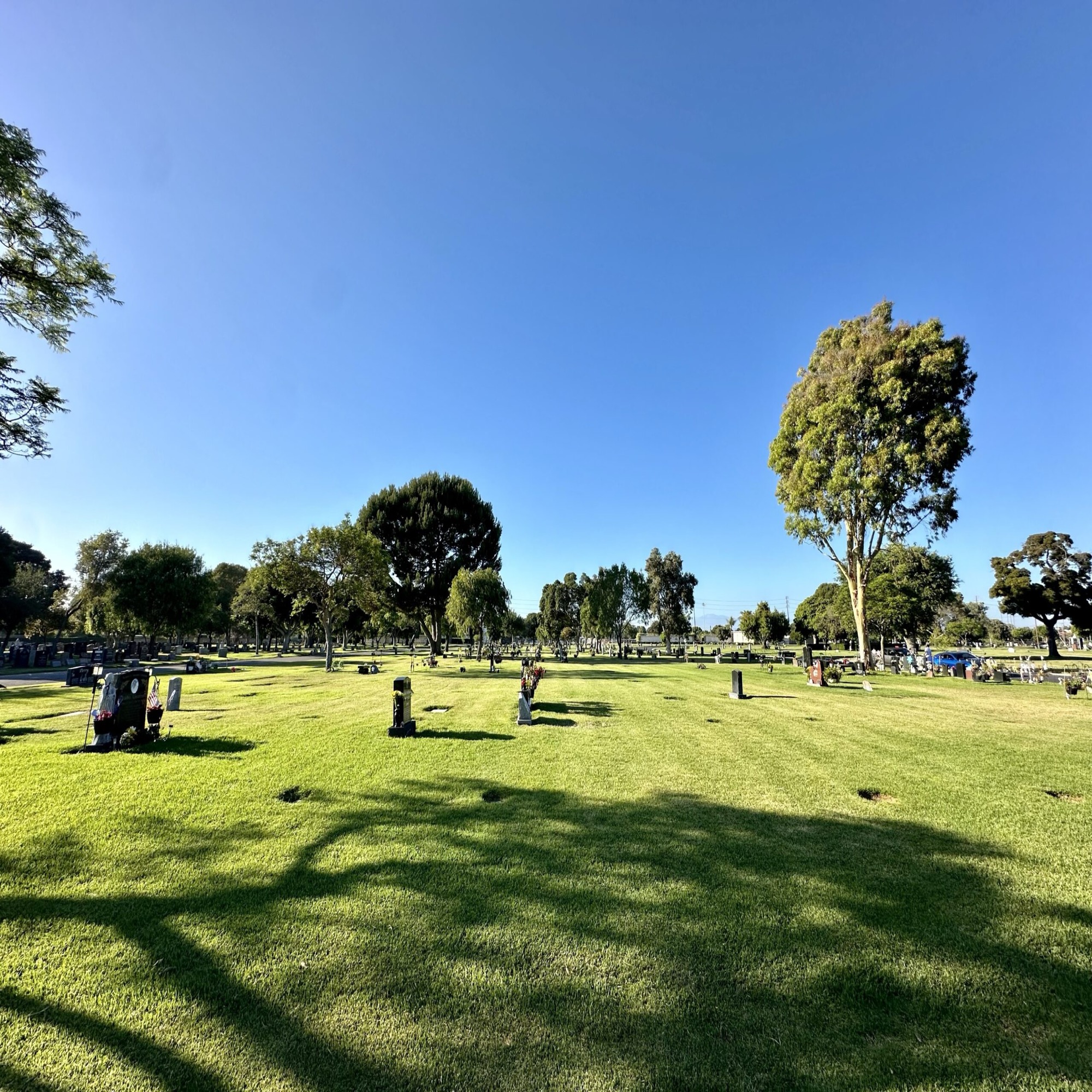 Four grave spaces in Sunset Lawn Garden