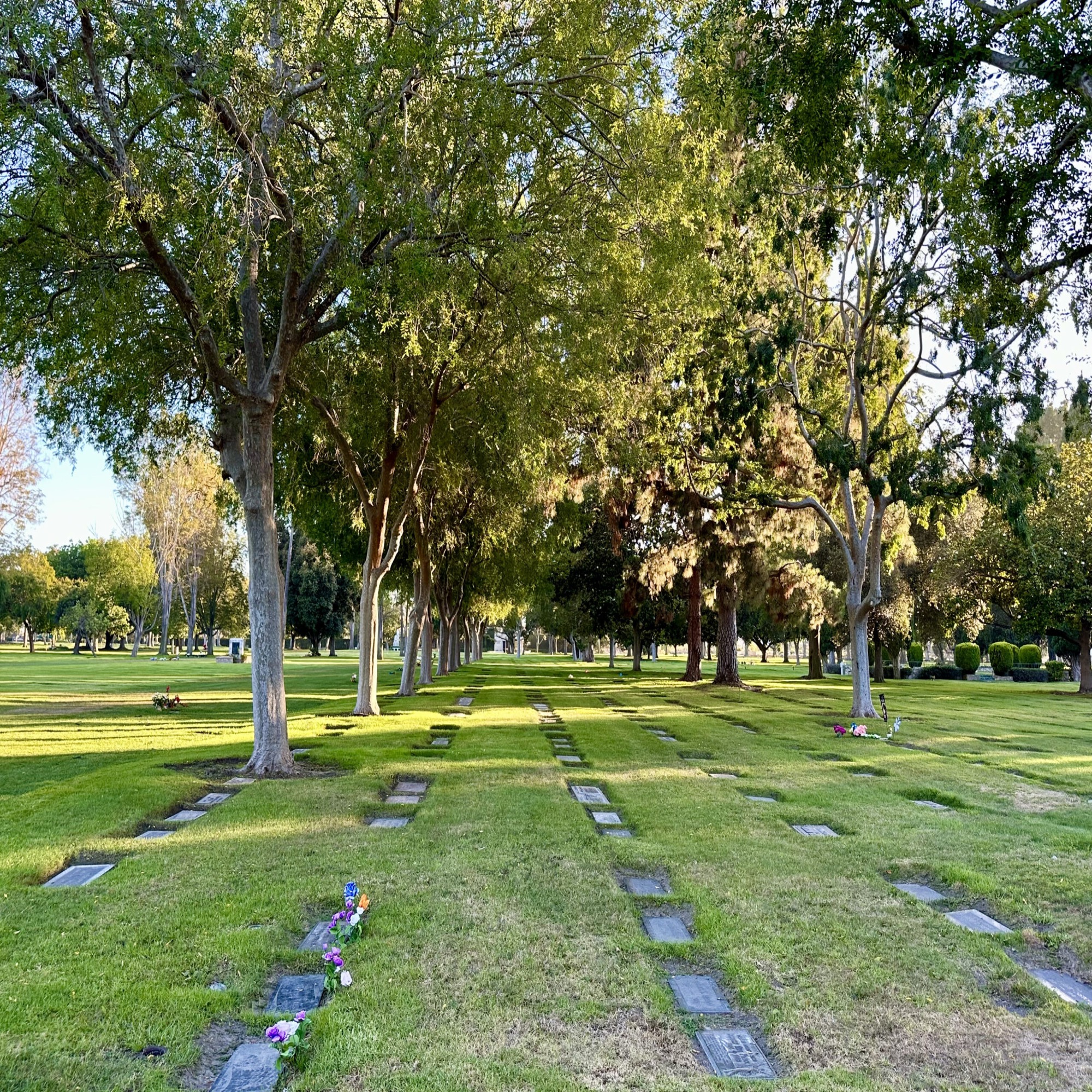 Two grave spaces in the Garden of Four Seasons