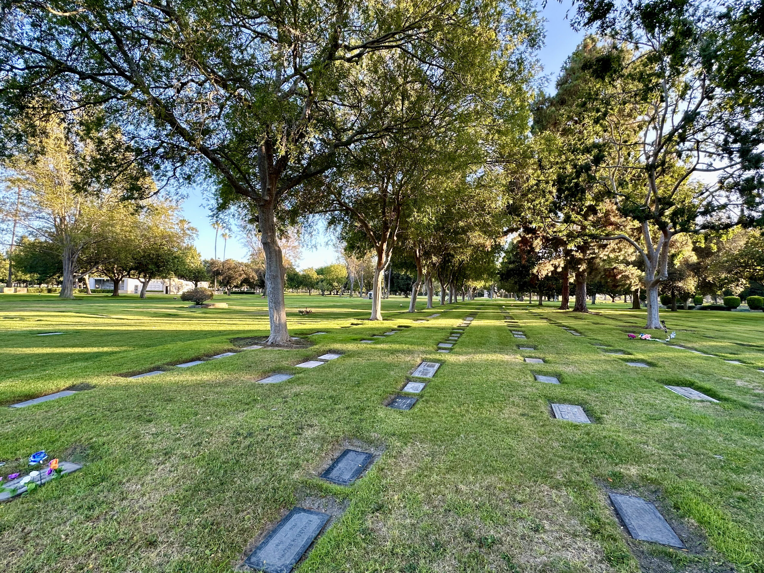 Grave space in the Garden of Four Seasons