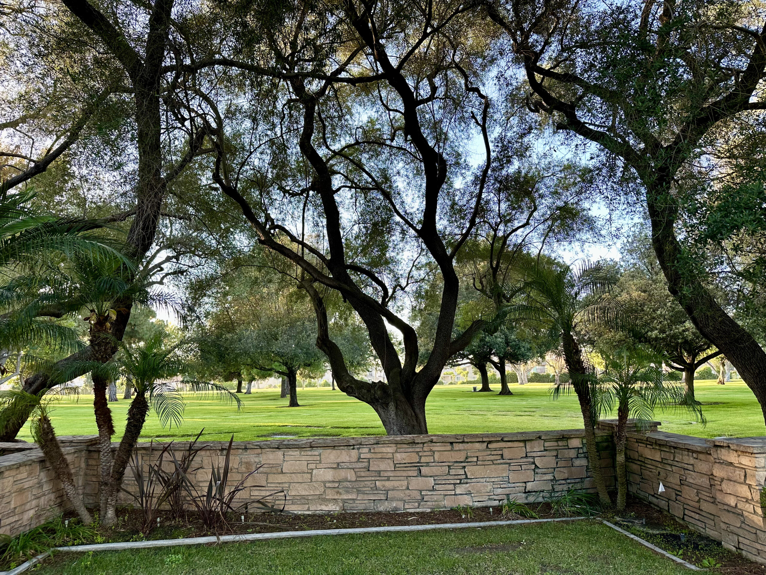 Two grave spaces in Garden of Olives