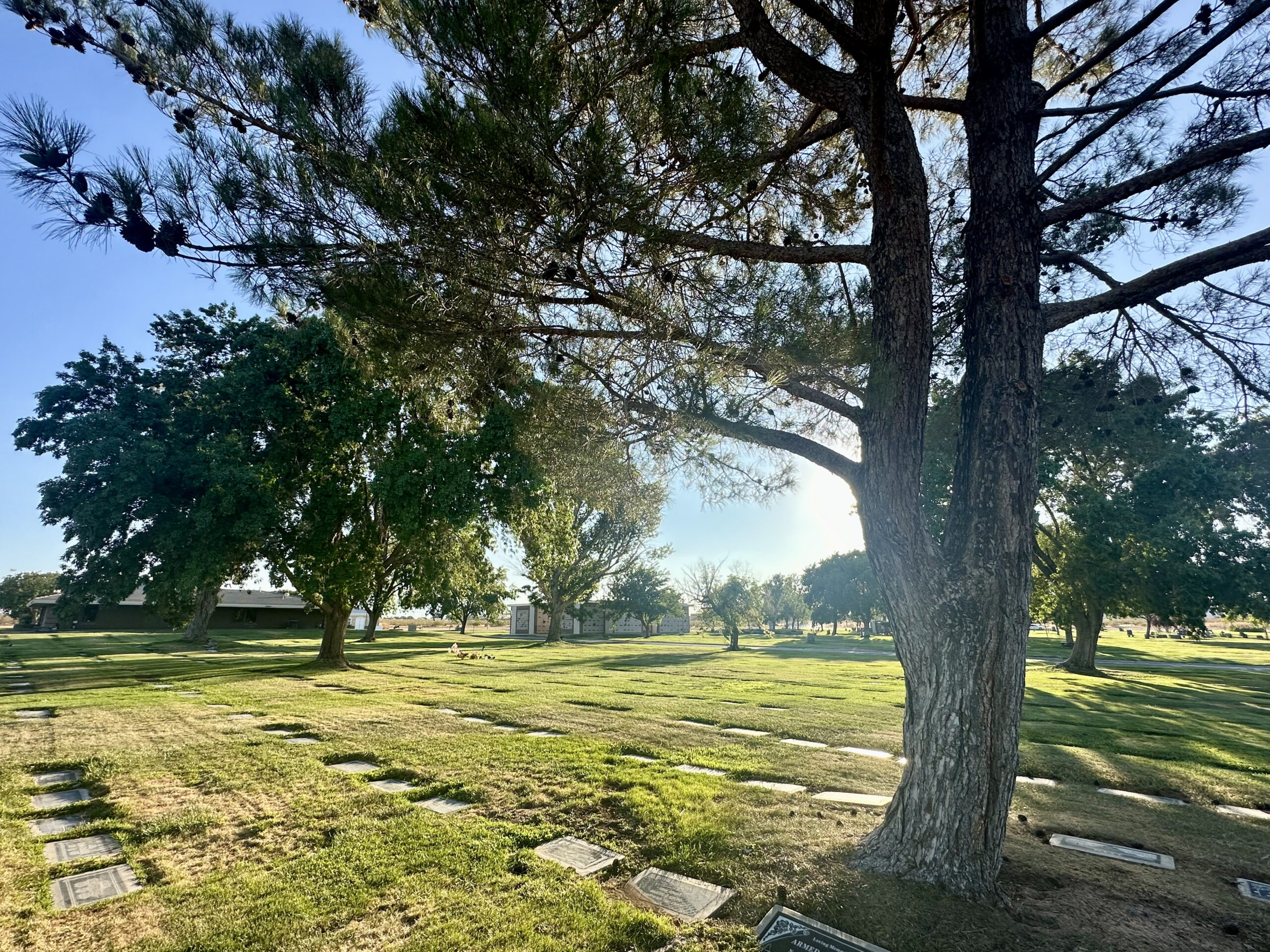 Grave Space in Joshua Section