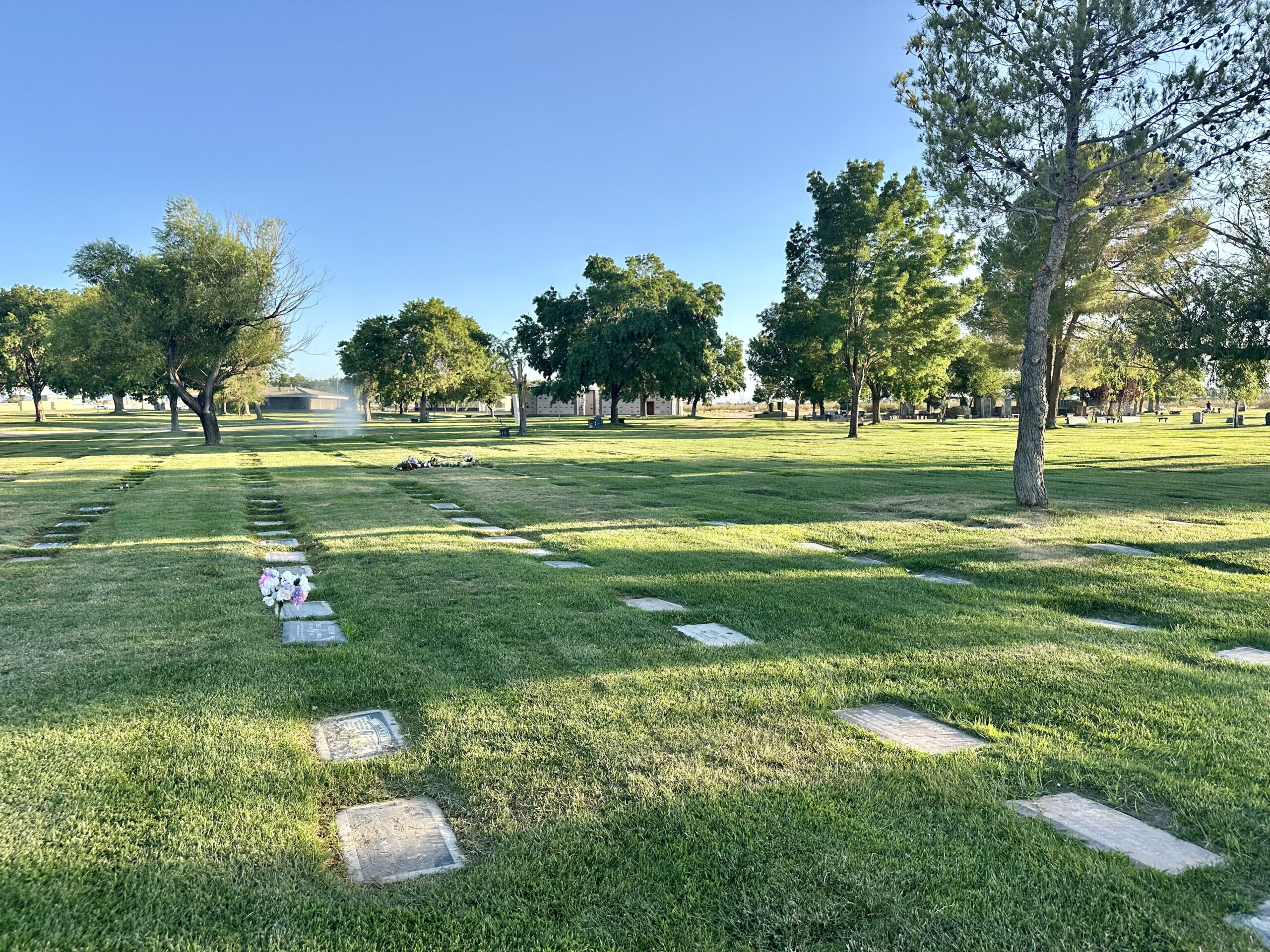 Grave Space in Rose Lawn