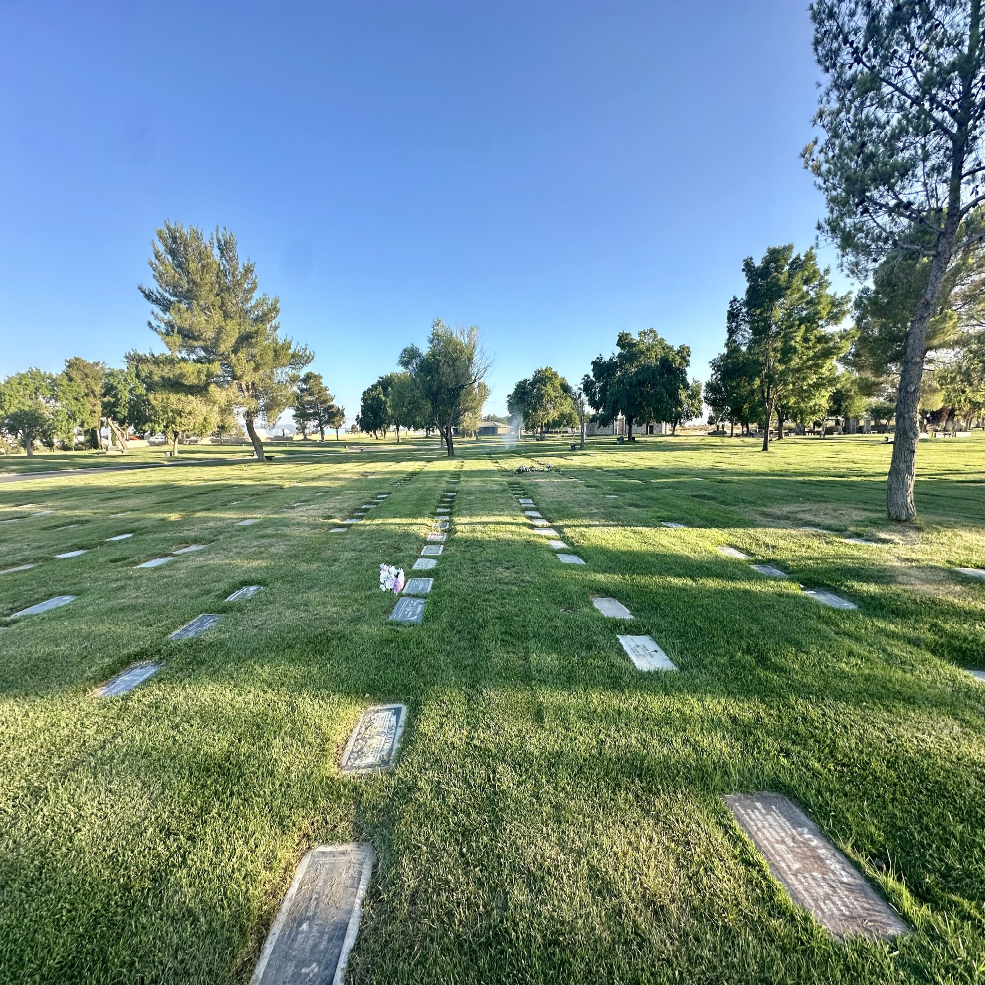 Lawn crypt in Rose Lawn