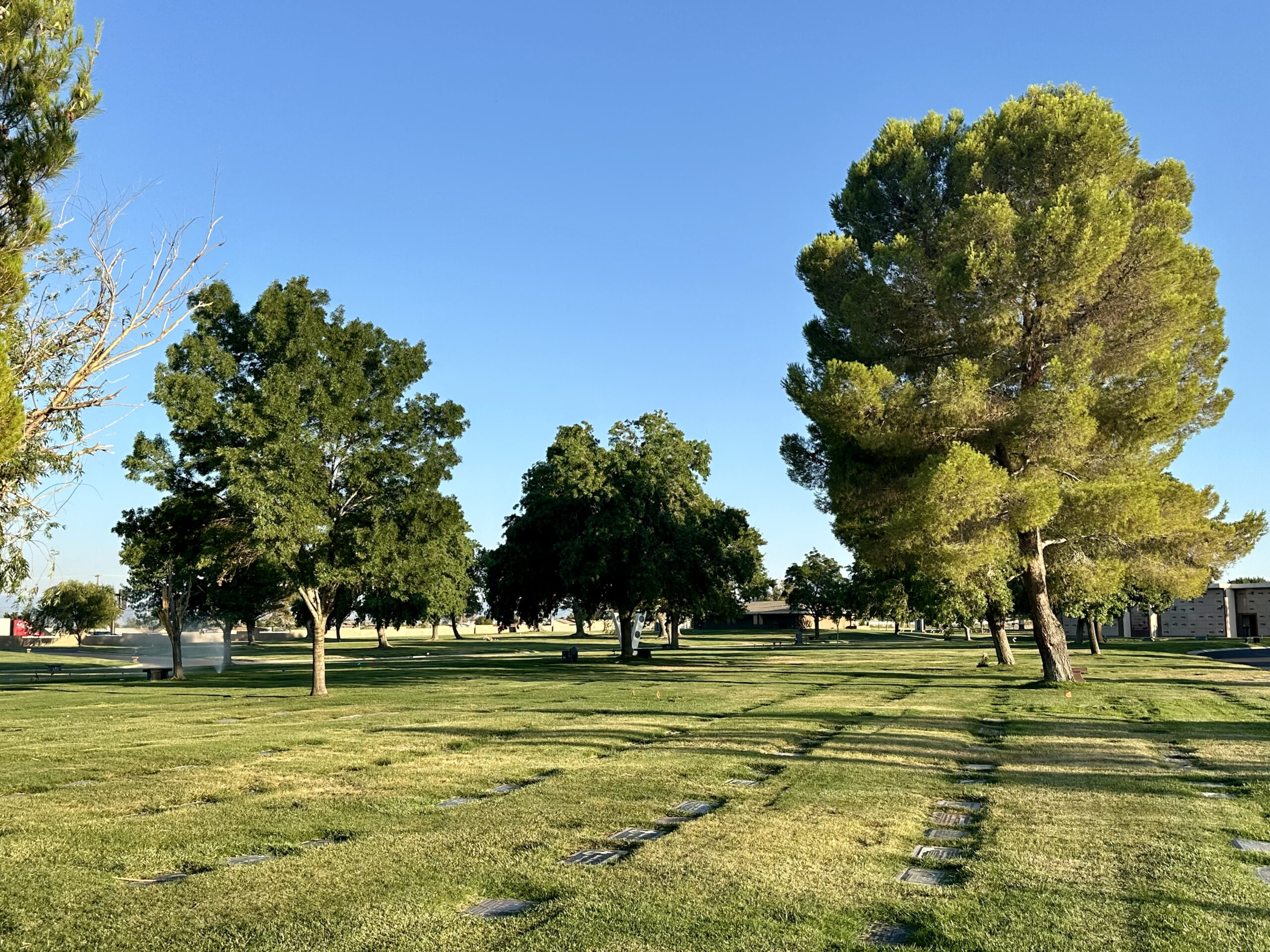 Two adjoining lawn crypts in Rose Lawn