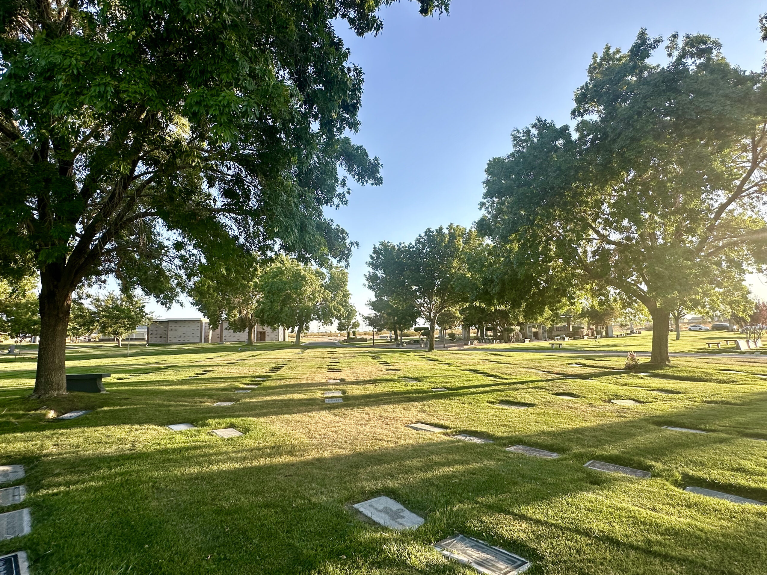 Two Grave Adjacent Grave Spaces in Rose Lawn