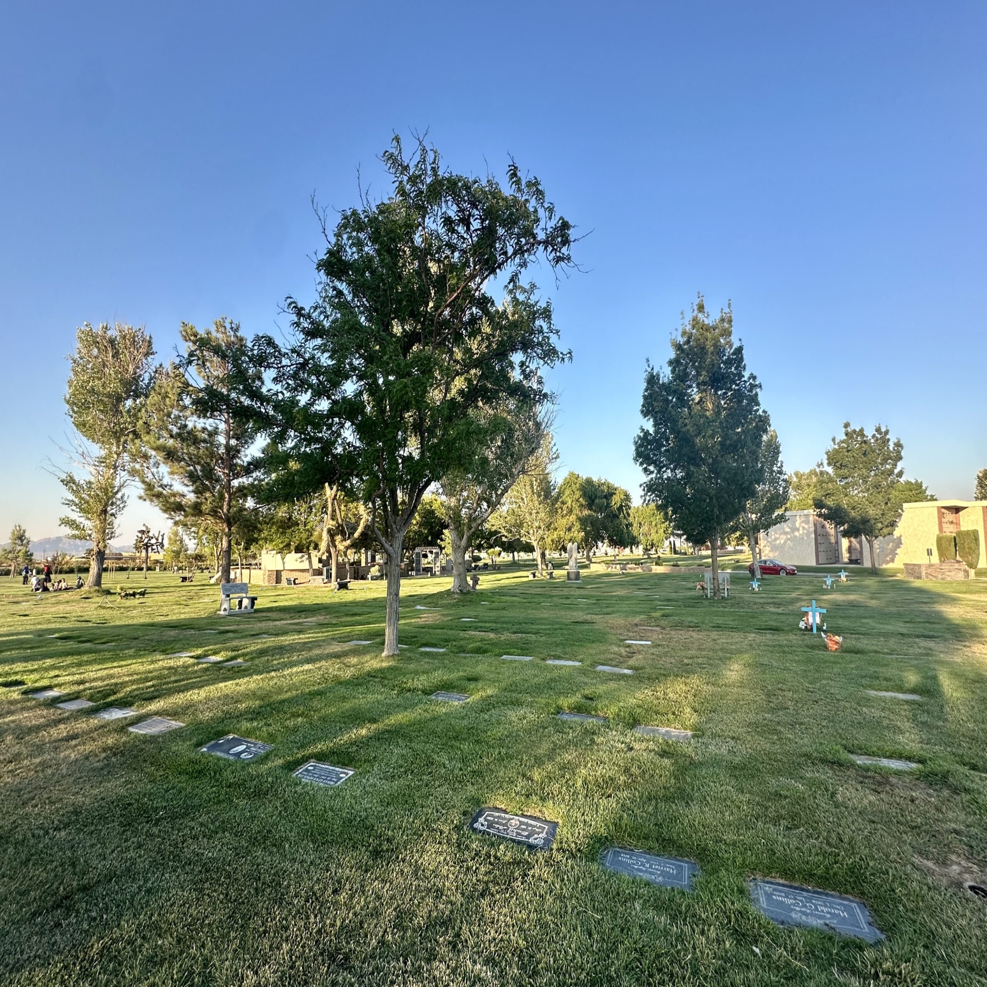 Grave space in Acacia