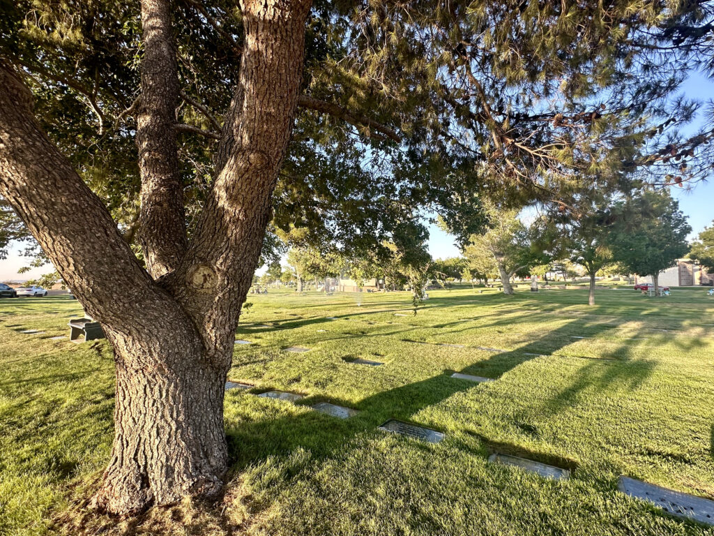 Acacia, Desert View Memorial Park, Victorville