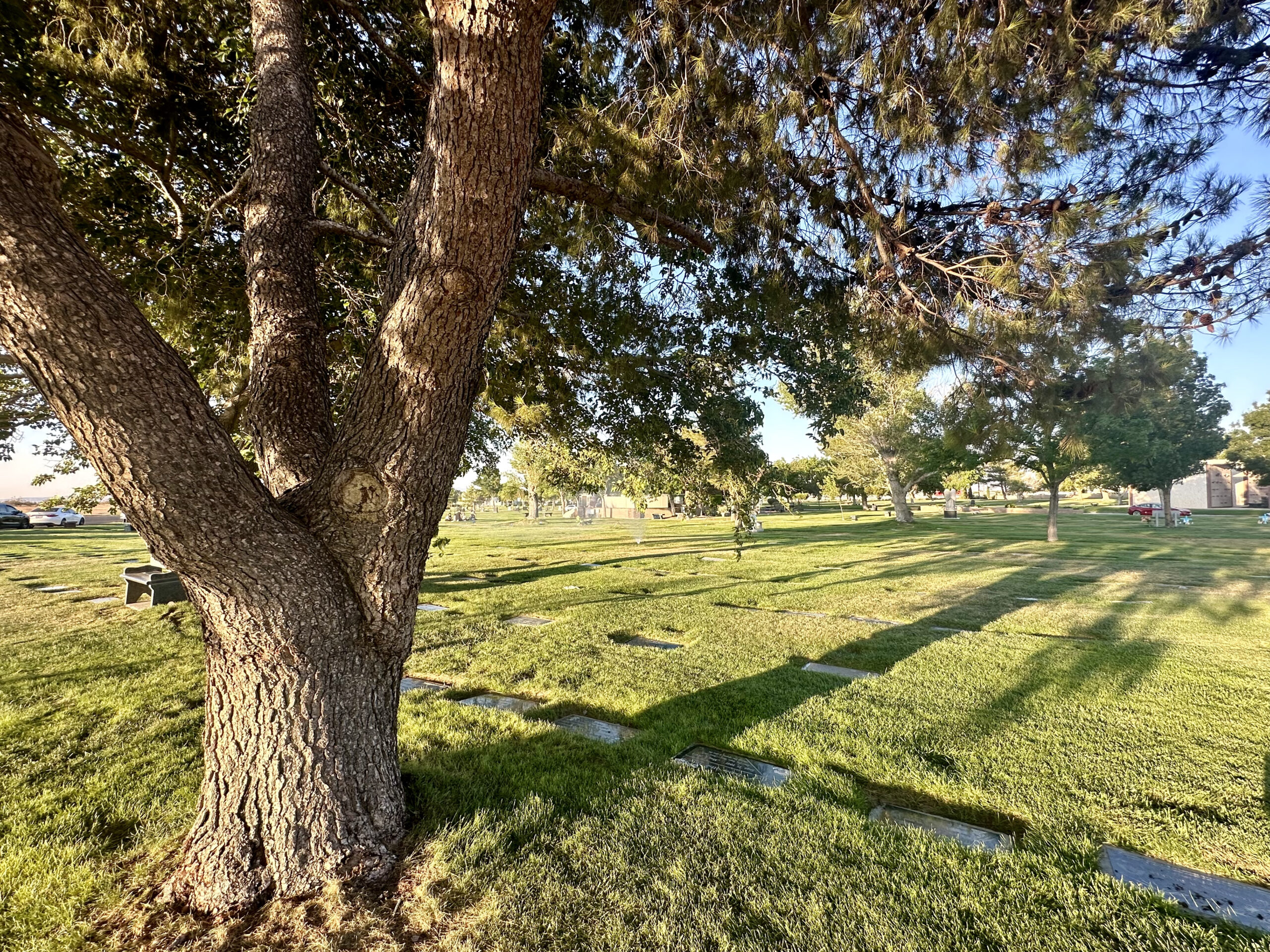 Grave Space in Acacia