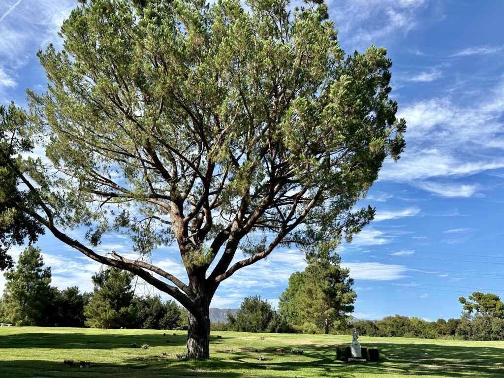 Forest Lawn Hollywood Hills Vale of Hope