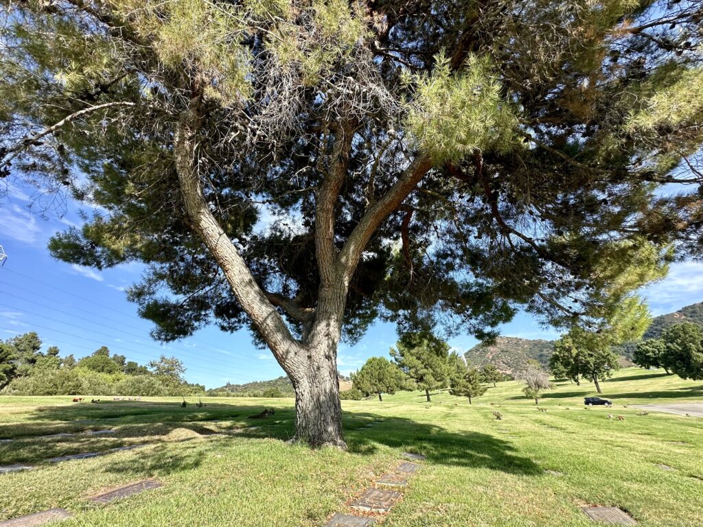 Forest Lawn Hollywood Hills Vale of Hope