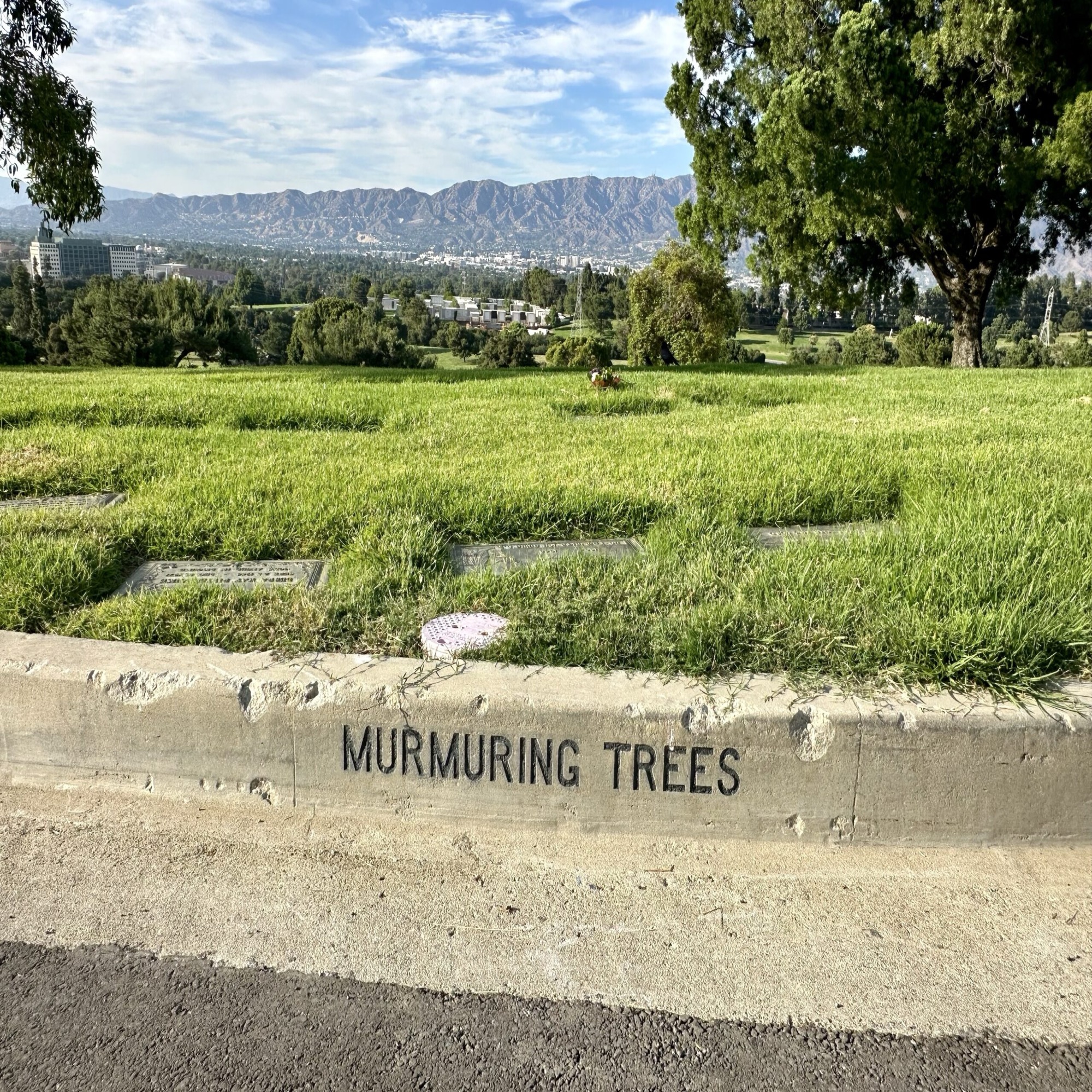 Grave space in Murmuring Trees