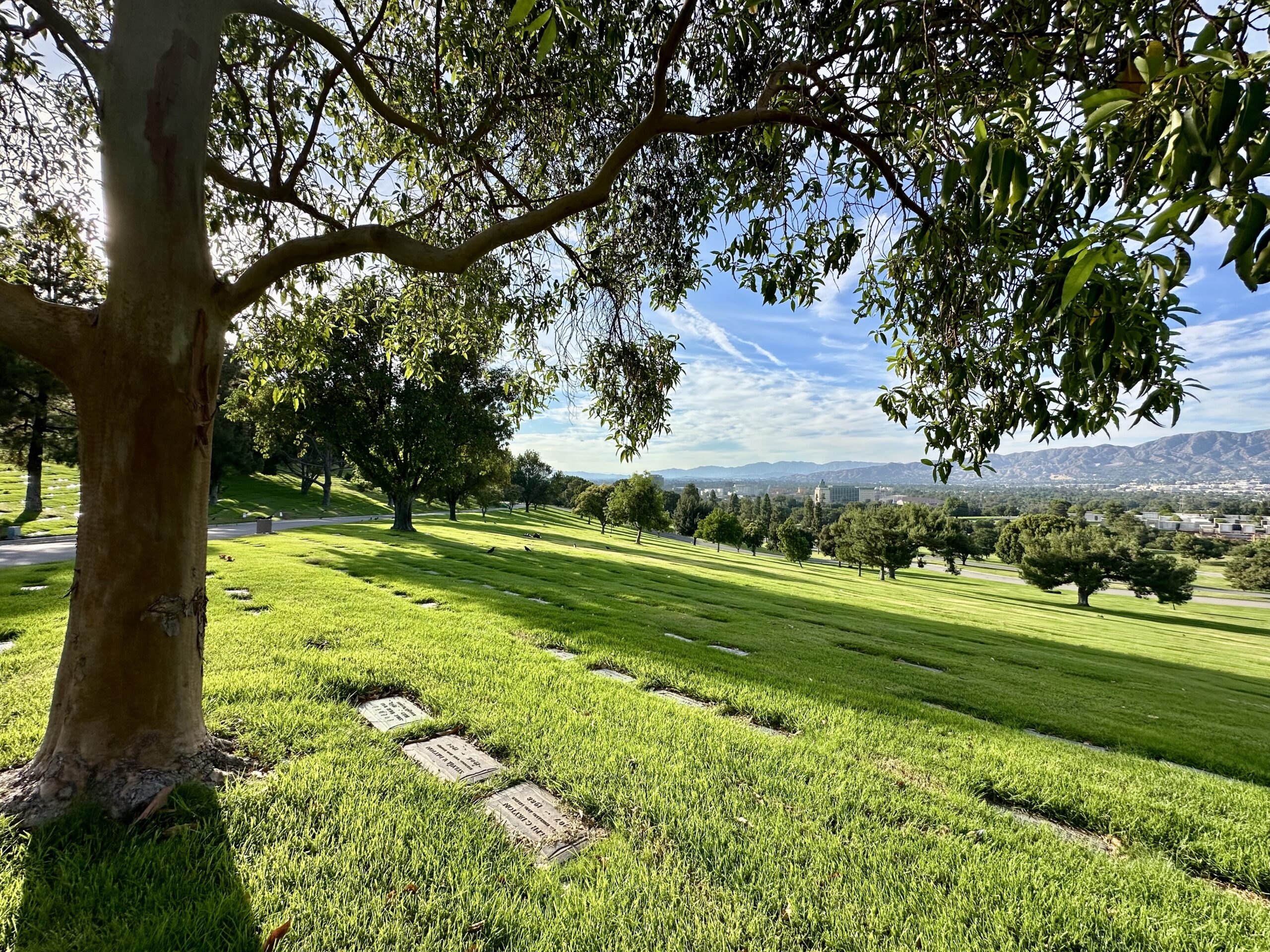 Grave space in Murmuring Trees