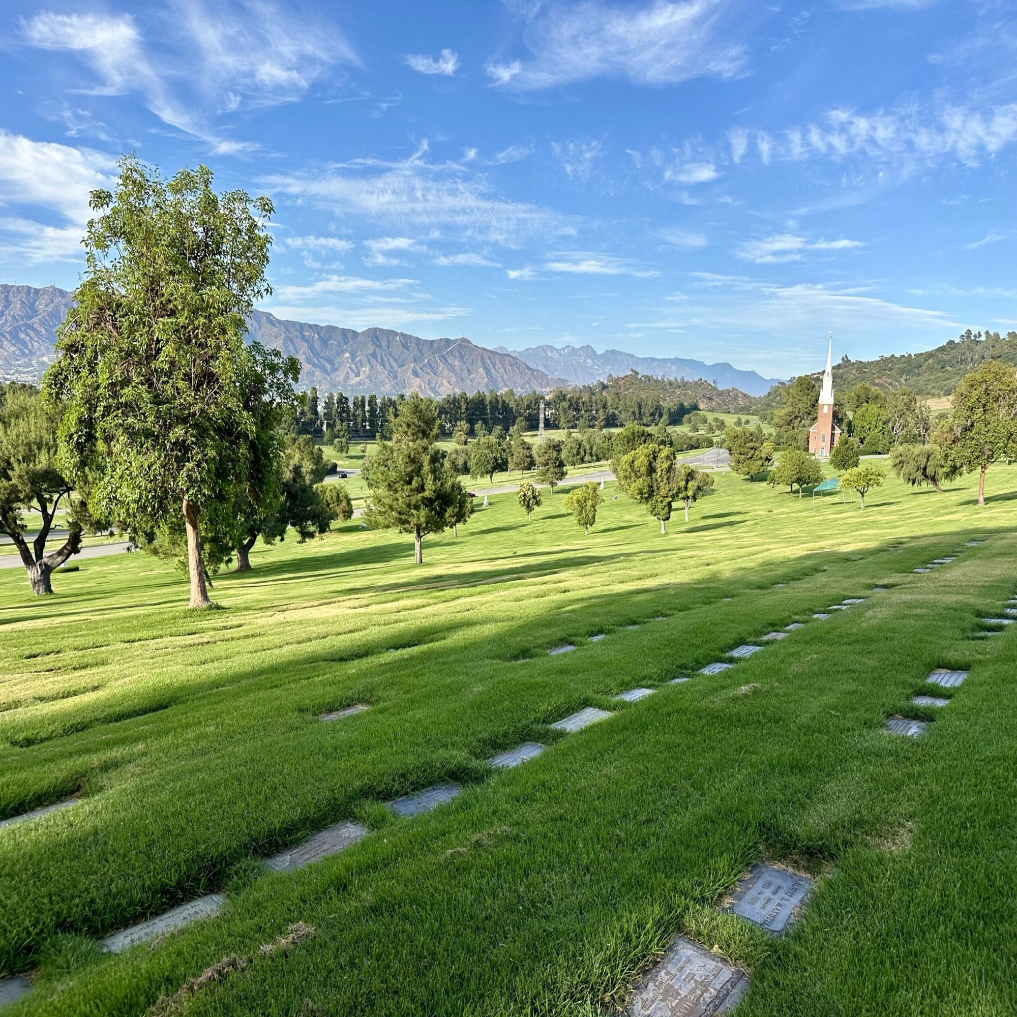 Grave space in Murmuring Trees