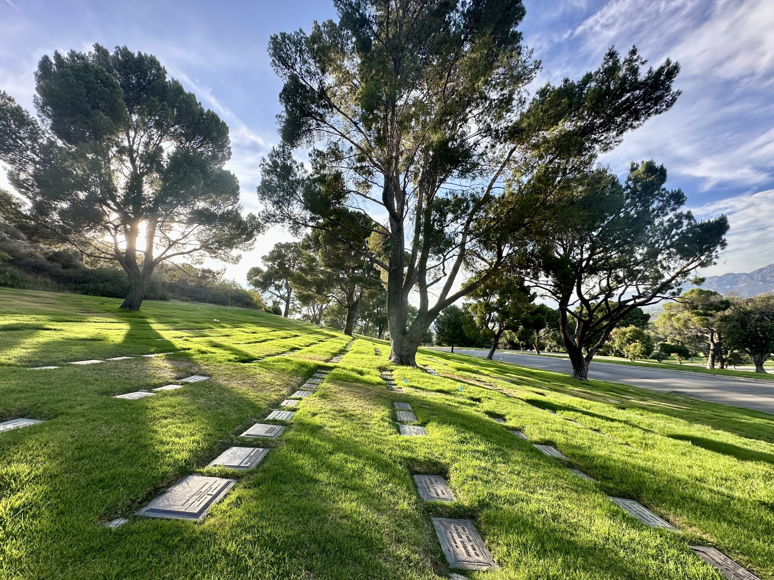 Grave space in Morning Light