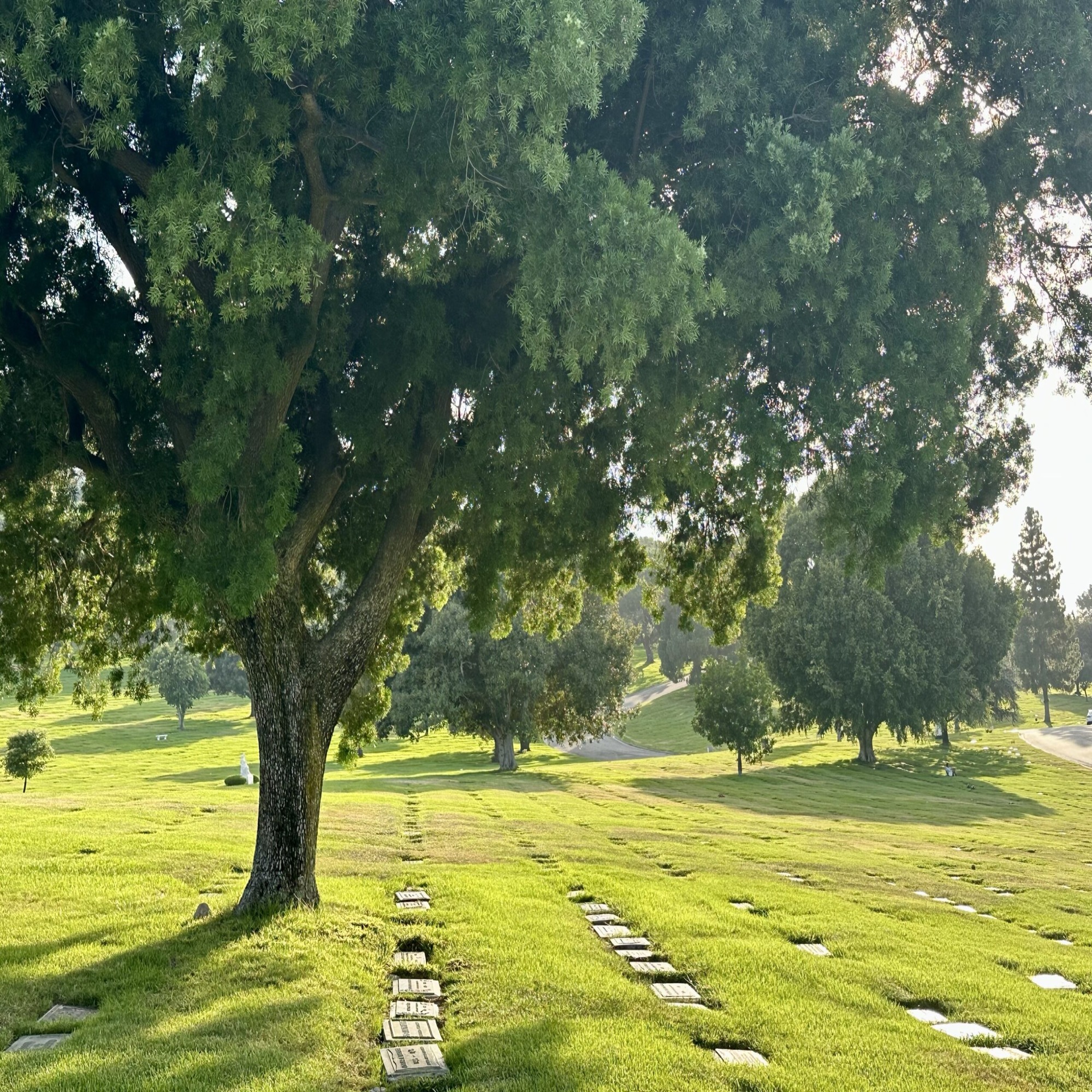 Grave space in Loving Kindness