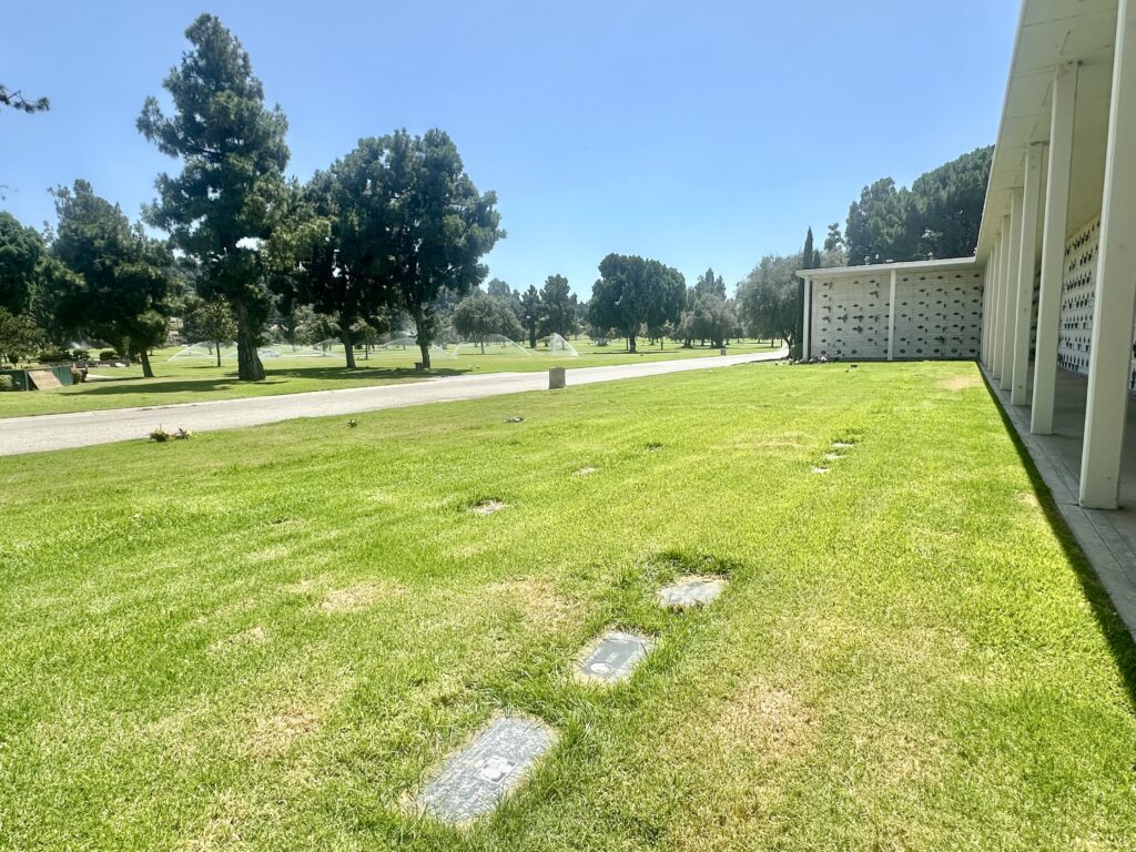 Lilac, Rose Hills Memorial Park