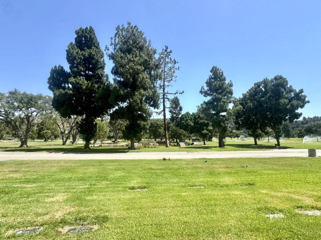 Lilac, Rose Hills Memorial Park