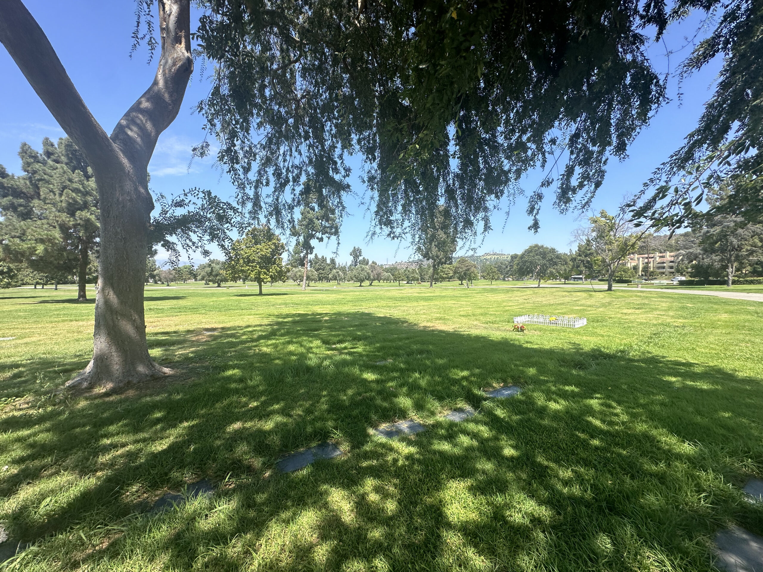 Grave space in Cypress